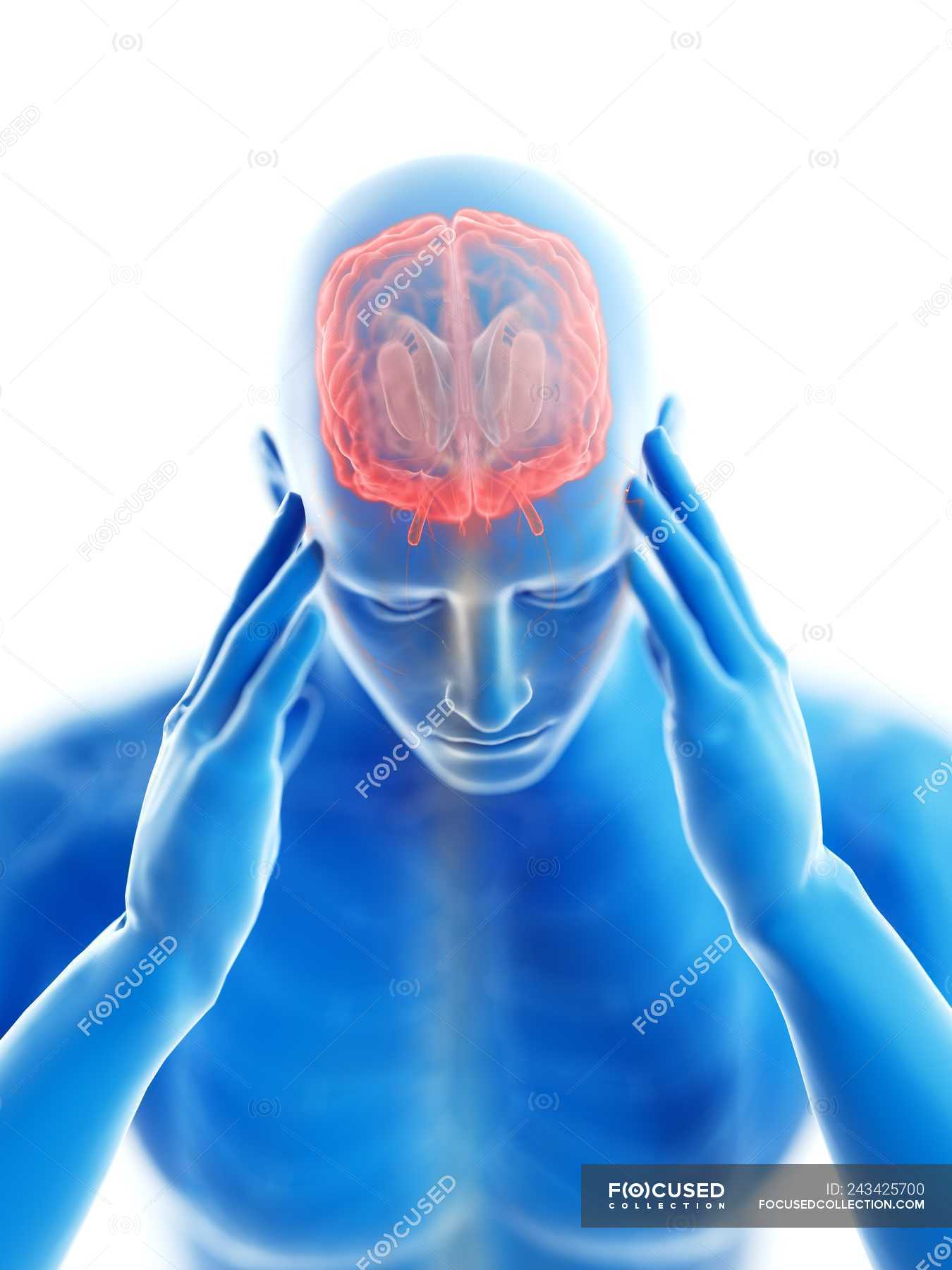 3d Rendered Illustration Of Blue Silhouette Of Man With Headache On White Background — Bones 6881