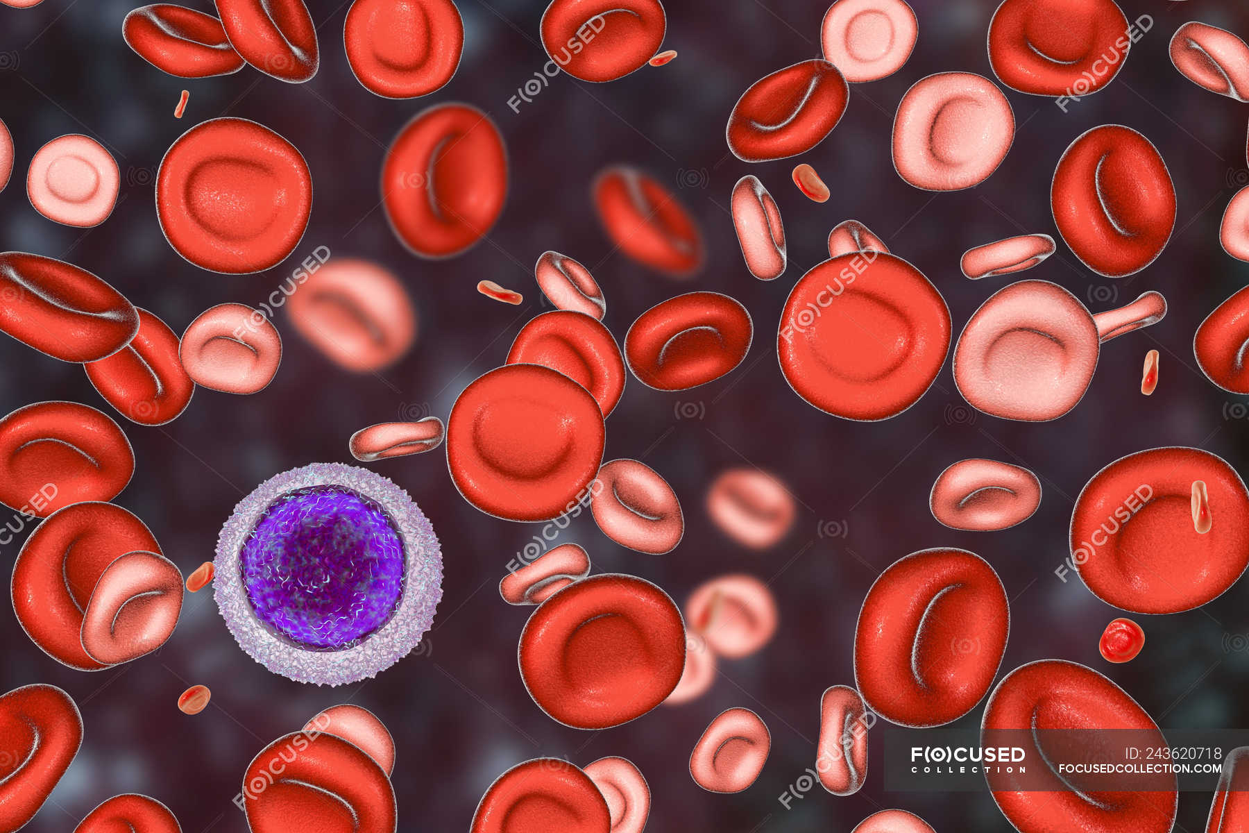 Эритроциты. Эритроциты красные клетки крови. Эритроцит рисунок строение. Эритроциты крови человека. Двояковыпуклые эритроциты.