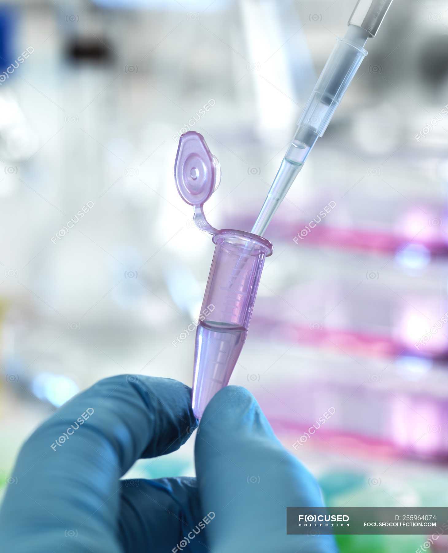 Closeup of scientist pipetting sample into eppendorf tube during