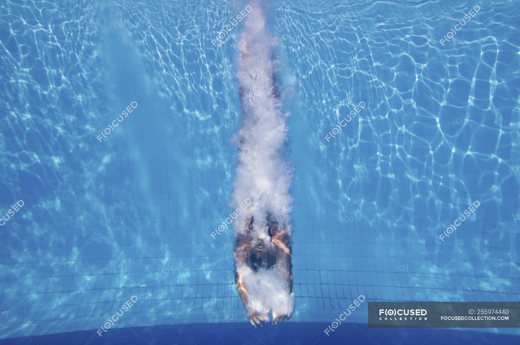 Female diver swimming with splashes underwater after athletic jump in ...