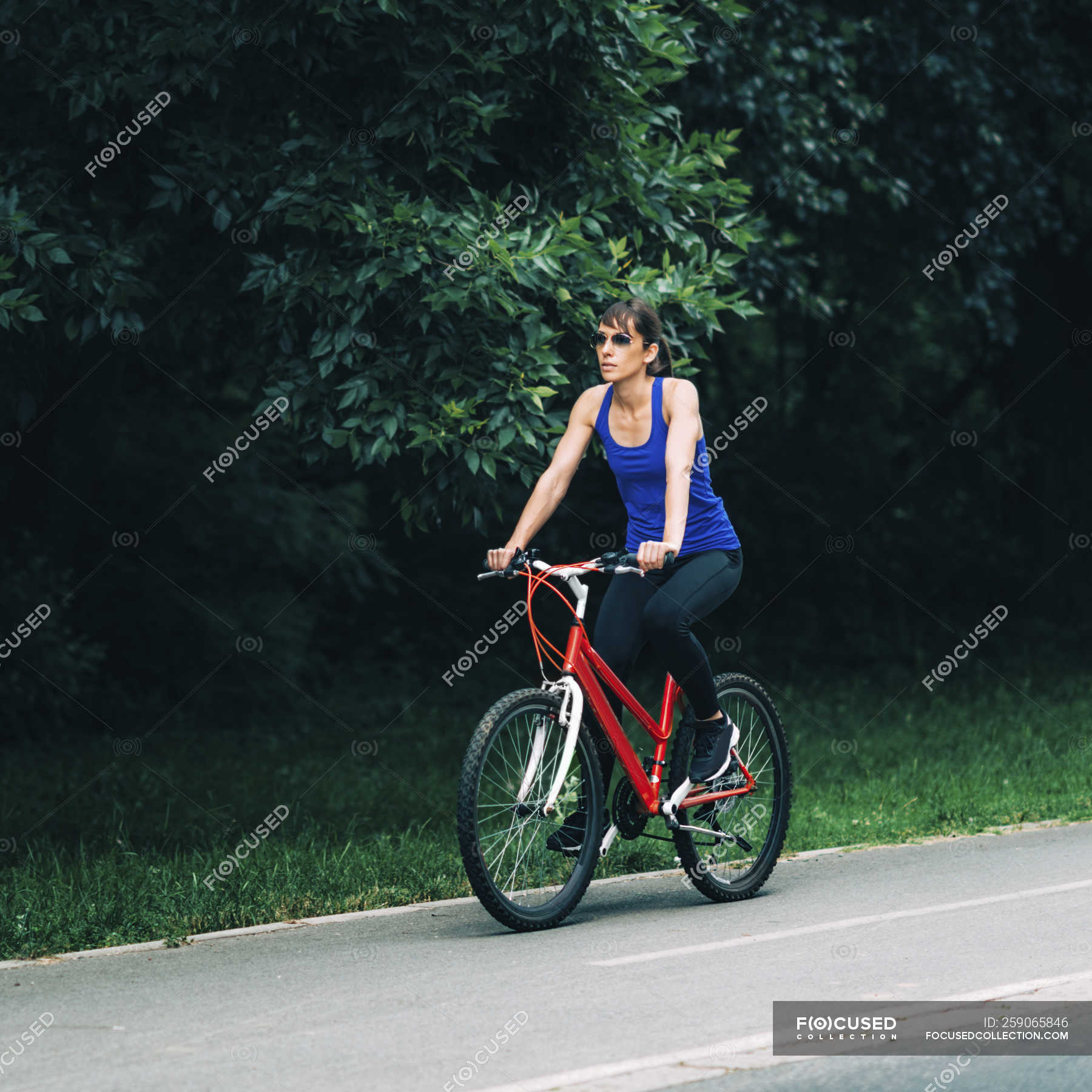 bicycle adult female