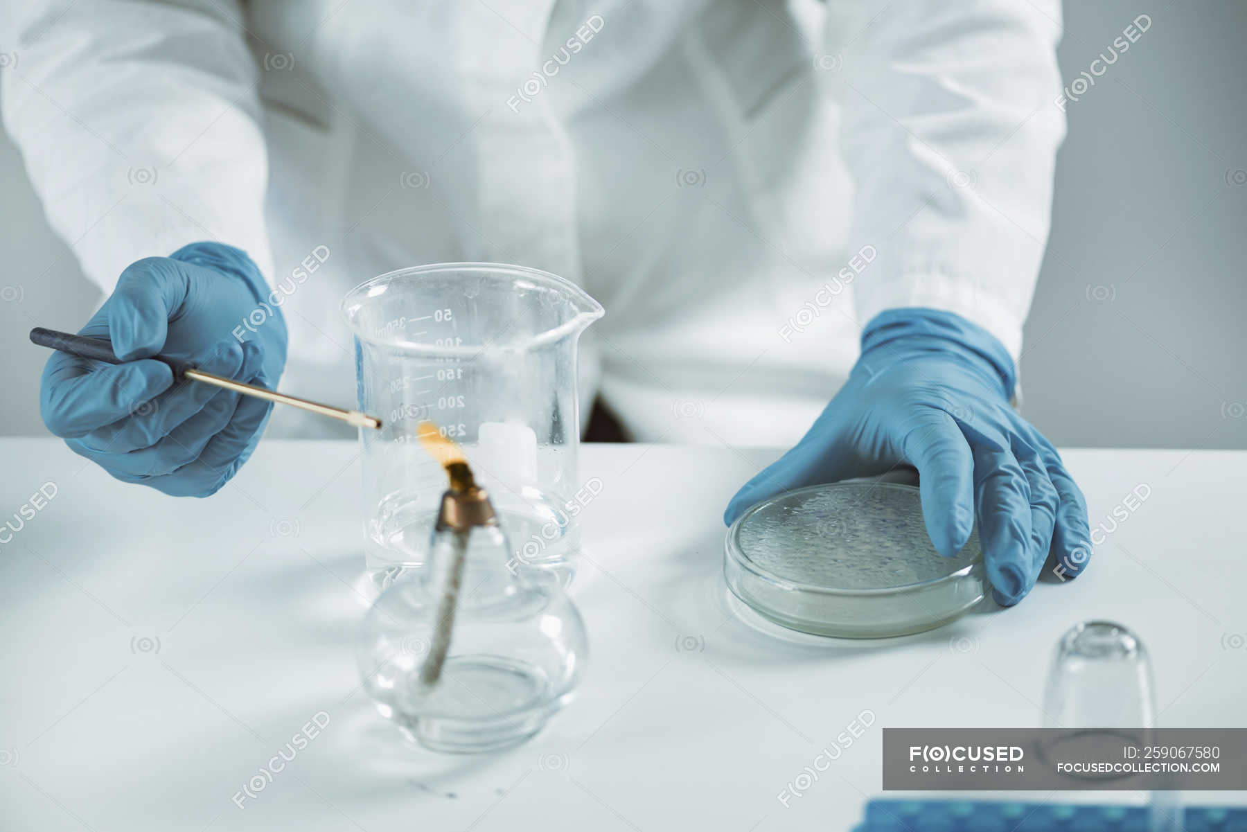 Midsection of female microbiologist sterilizing inoculation loop. — lab, laboratory Stock