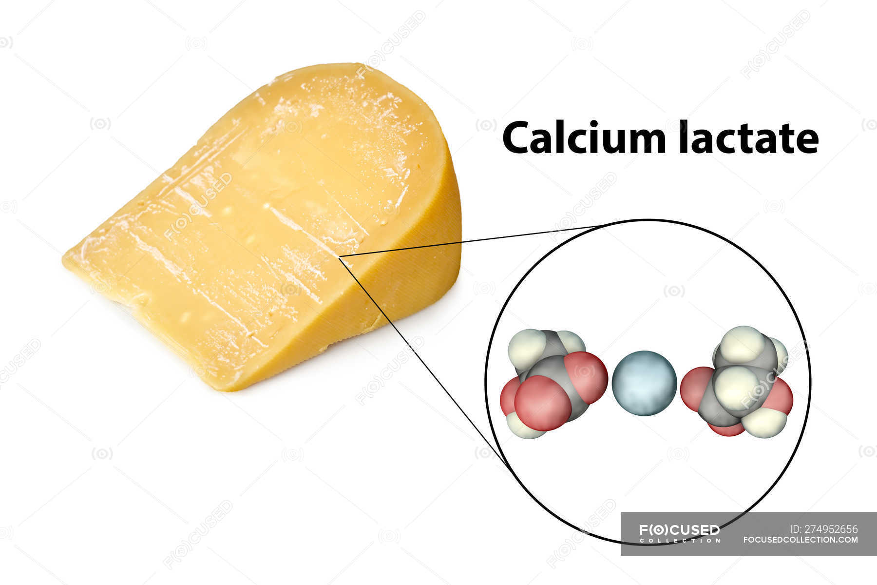 Lactation Pictures