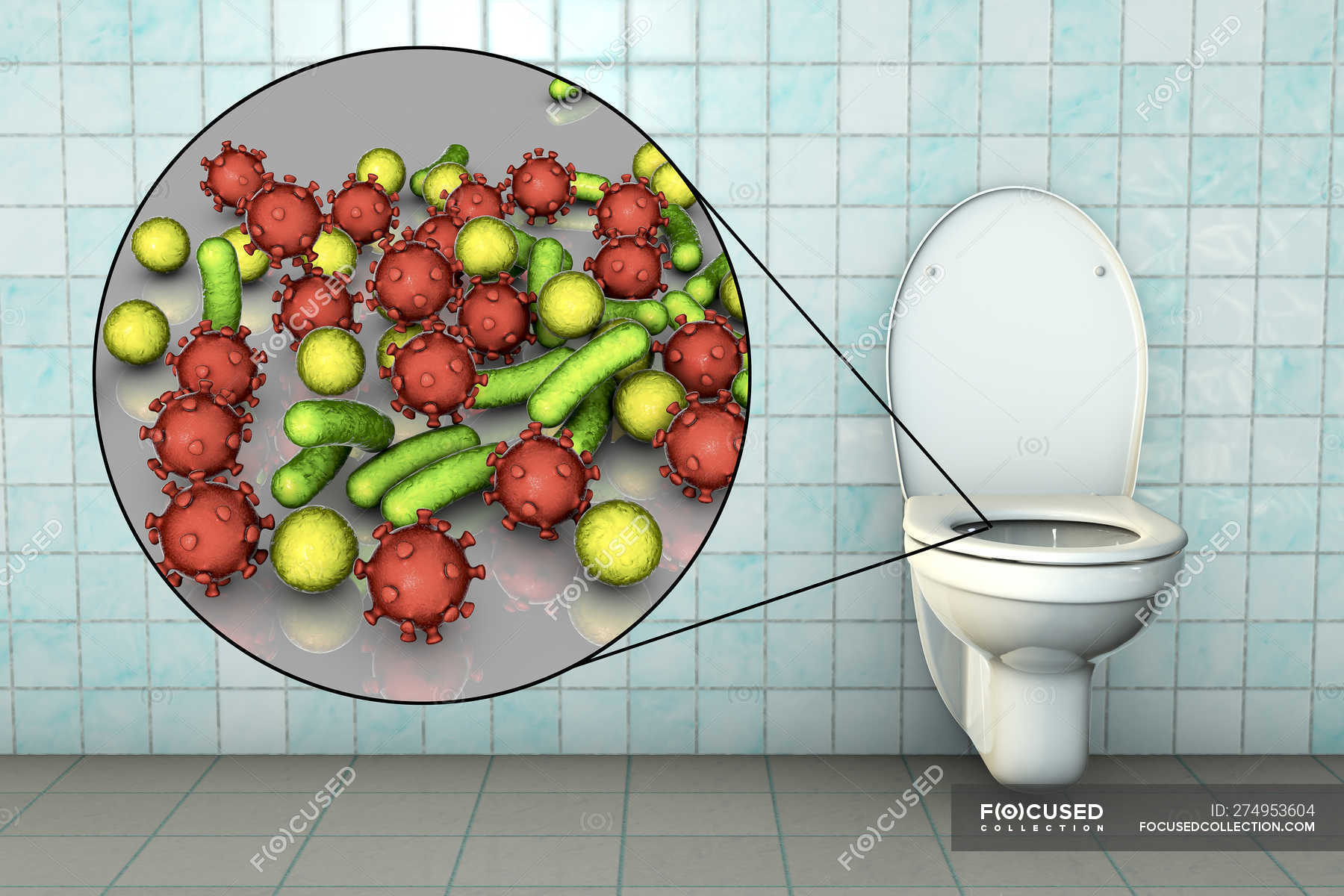 Микробы в туалете. Бактерии на ободке унитаза. Микробы на унитазе. Бактерии на крышке унитаза. Микробы в унитазе для детей.