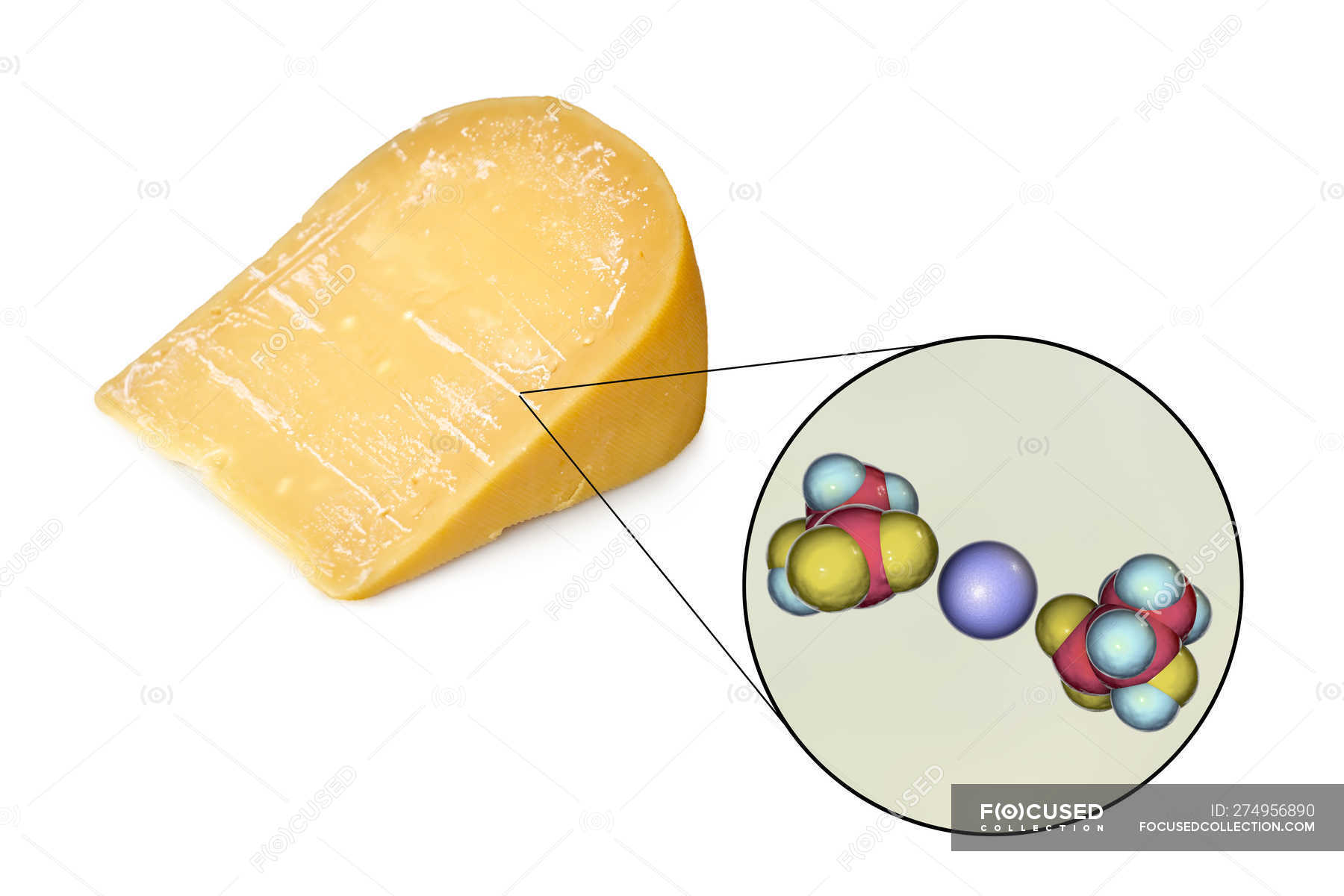 Lactation Pictures