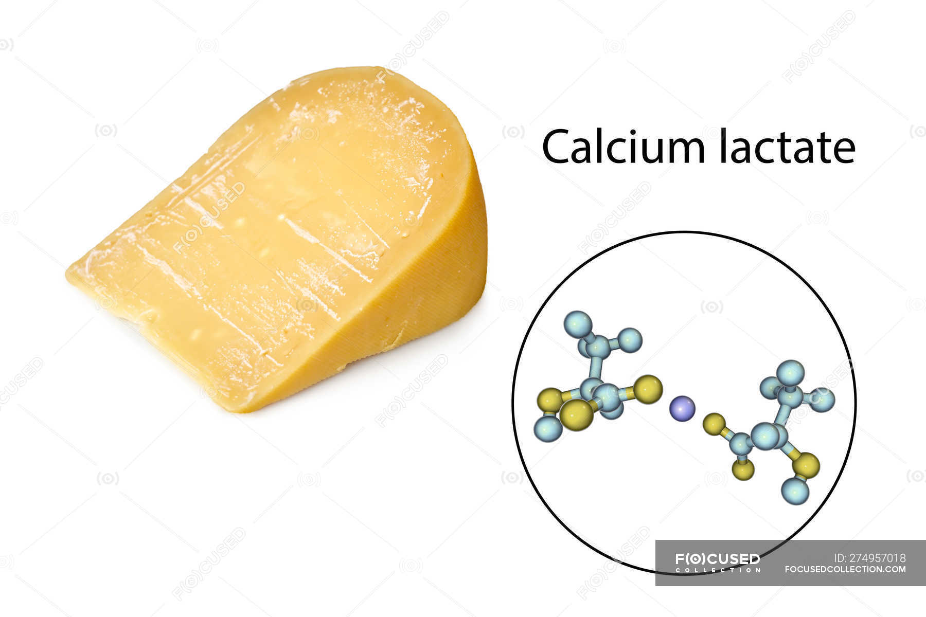 Lactate Pic