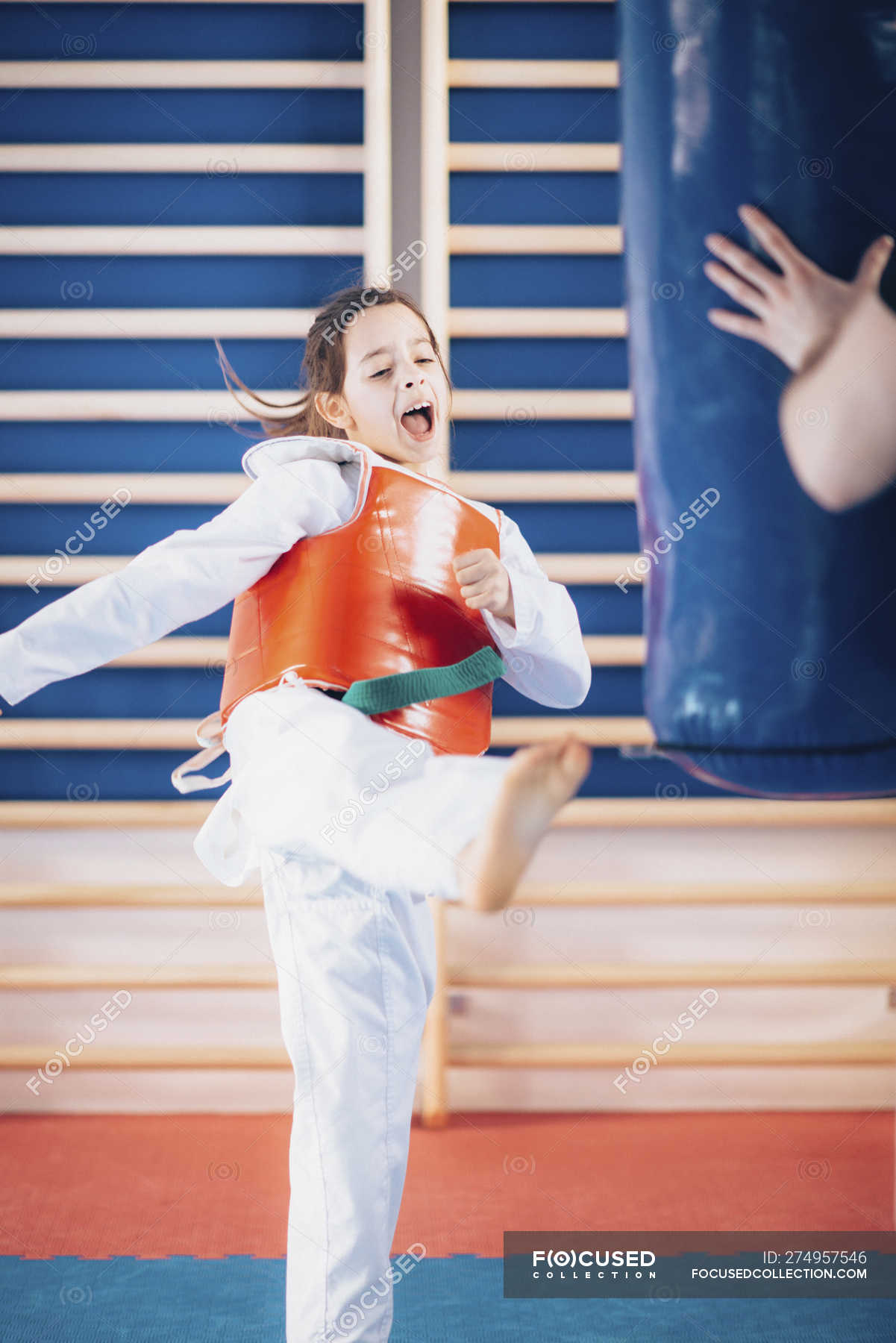 tkd punching bag