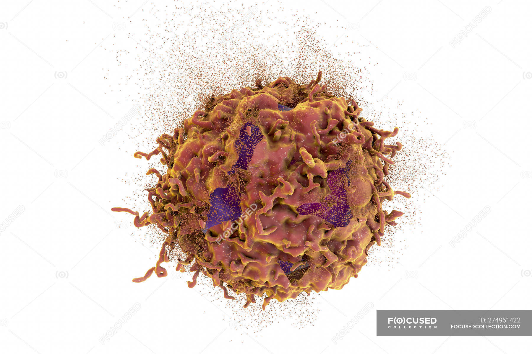 Destruction Of Cancer Cell Digital Conceptual Illustration