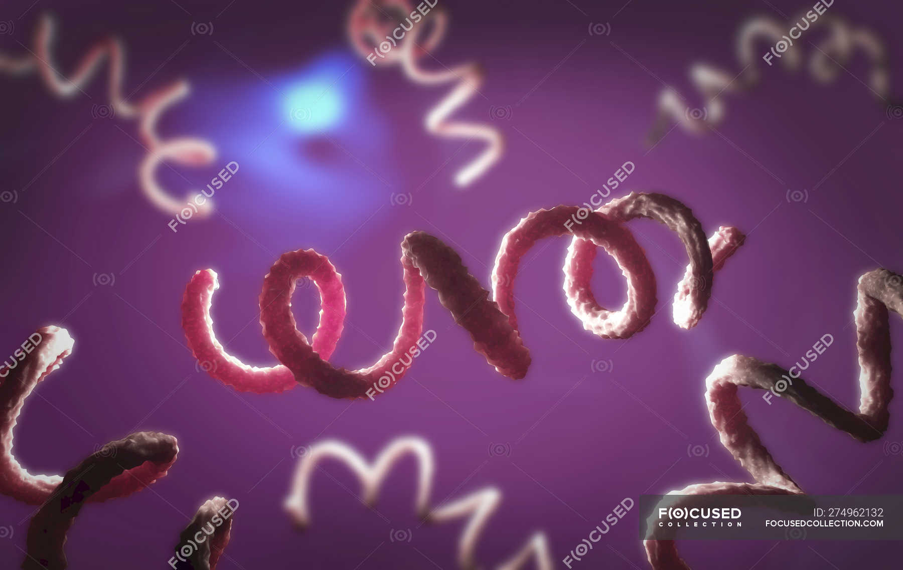 digitale-3d-illustration-von-syphilis-erregern-medizin