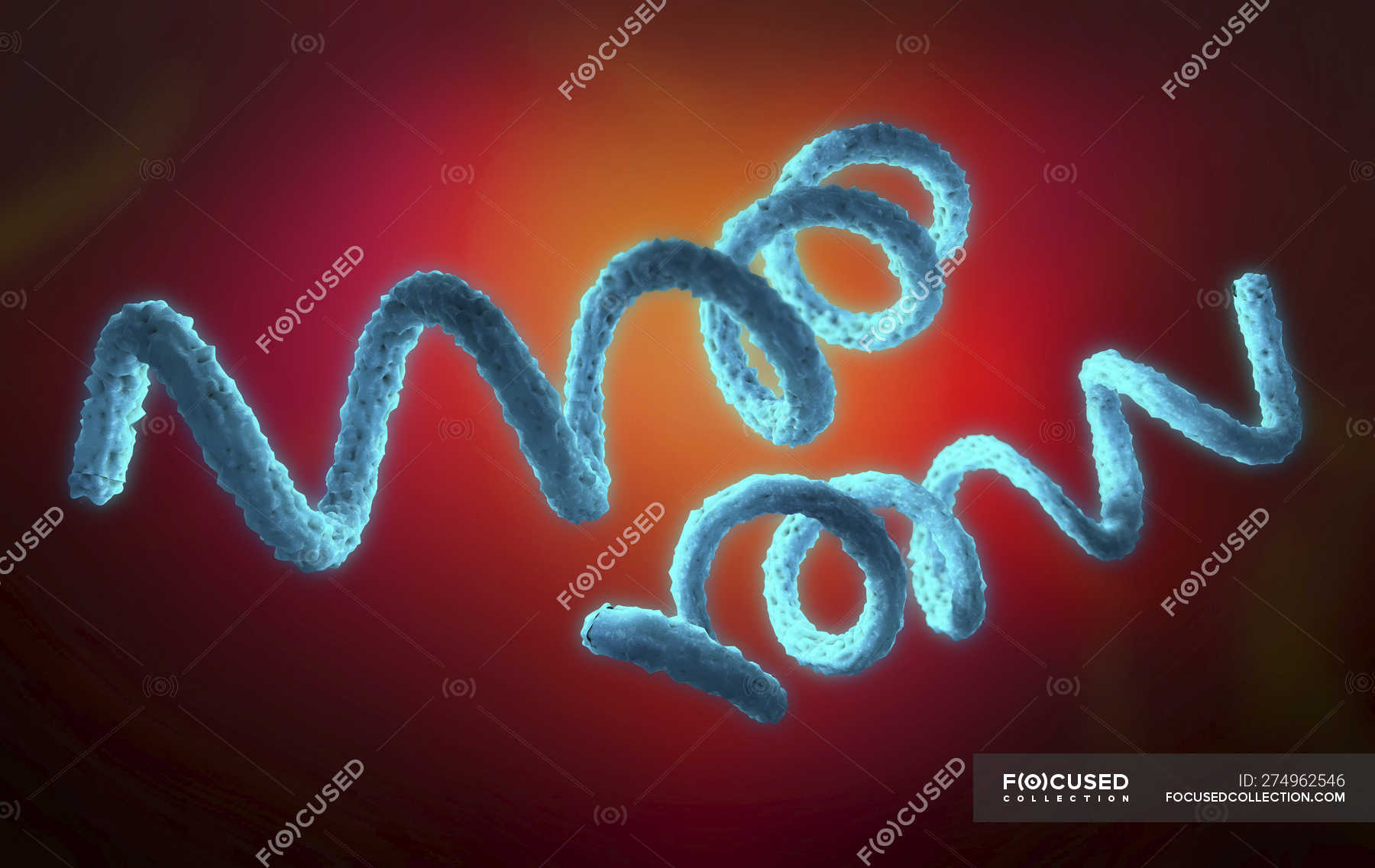 digitale-3d-illustration-von-syphilis-erregern-biologische