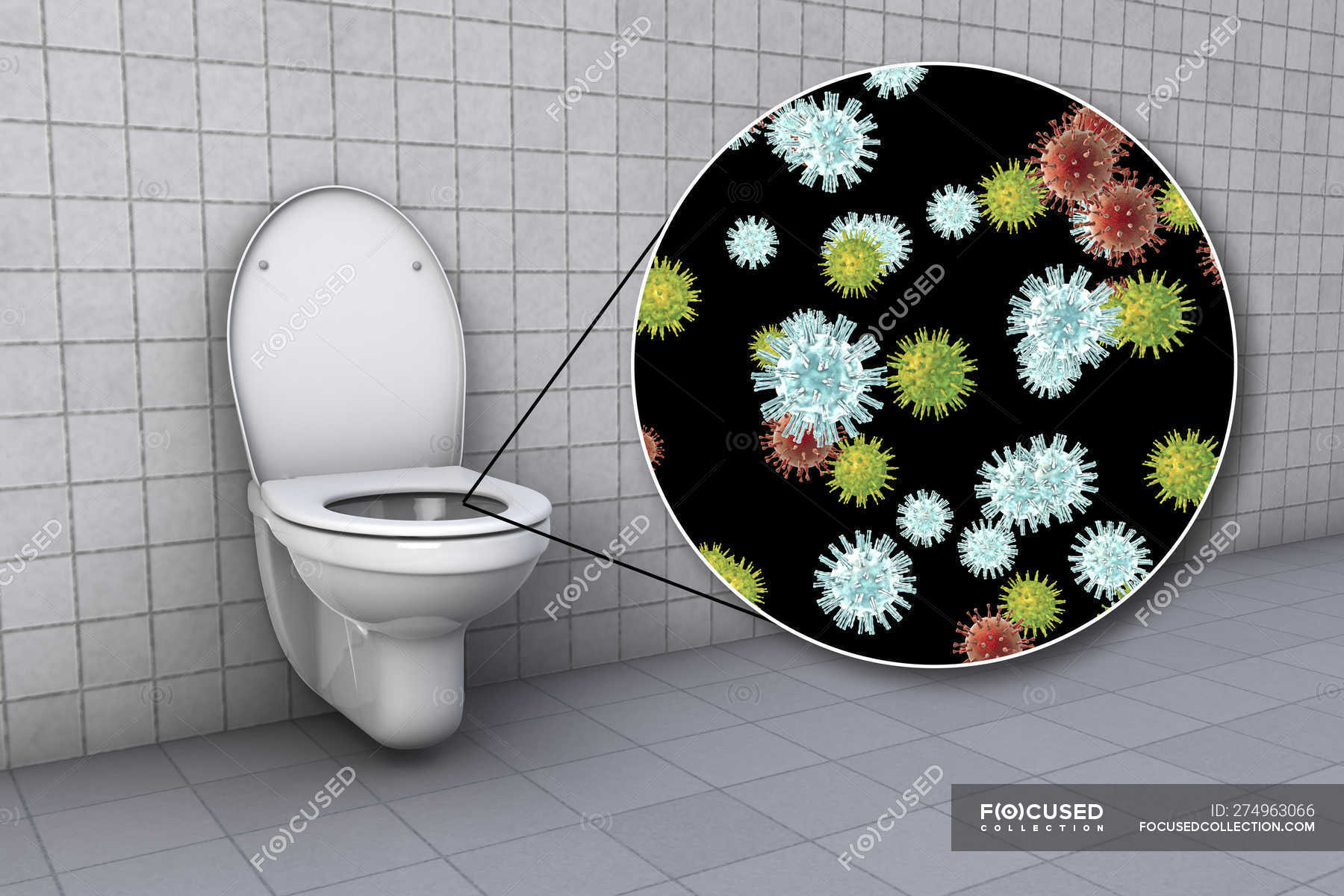 Toilet microbes on contaminated seat surface in water closet