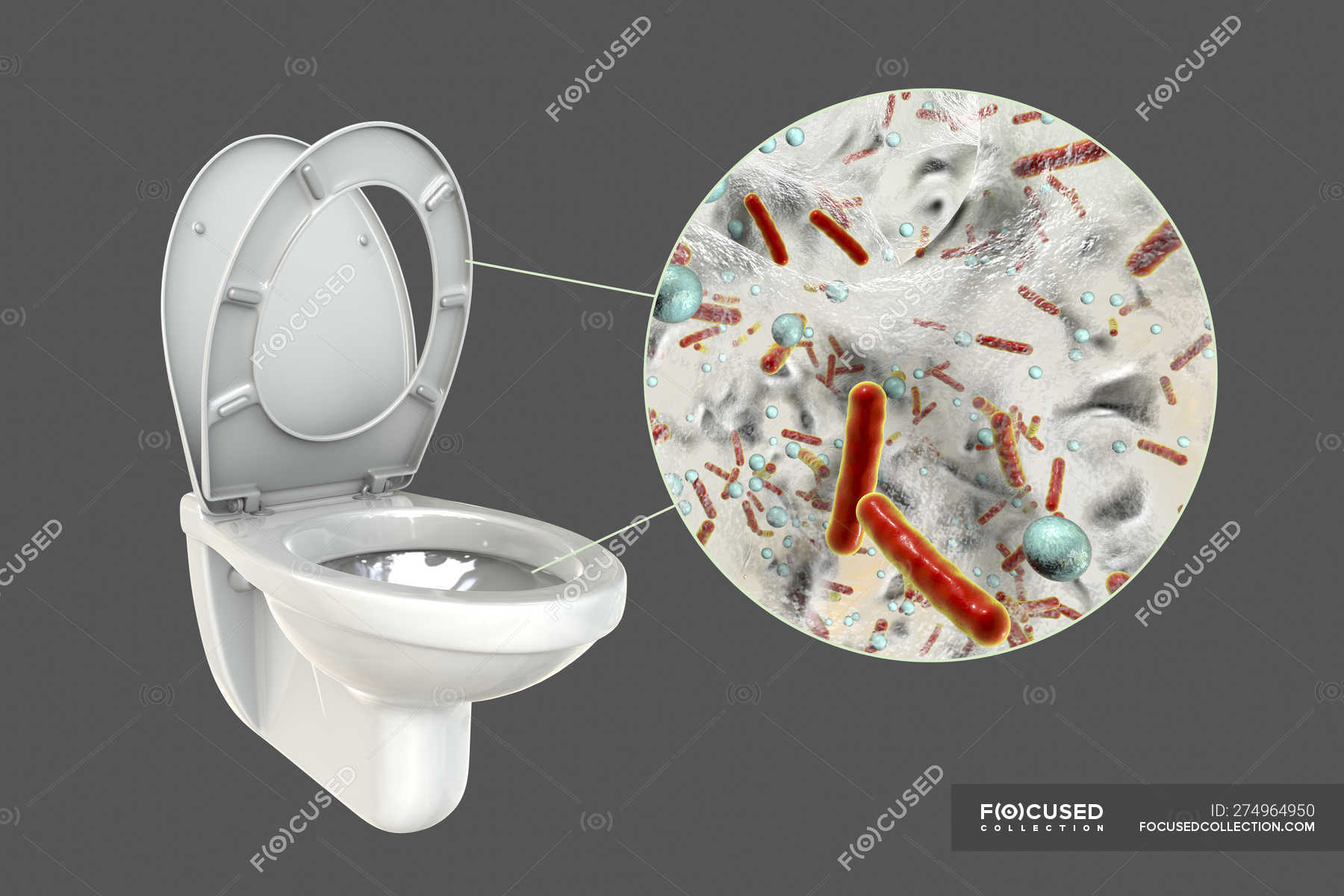 Flush toilet microbes on contaminated surface, conceptual digital