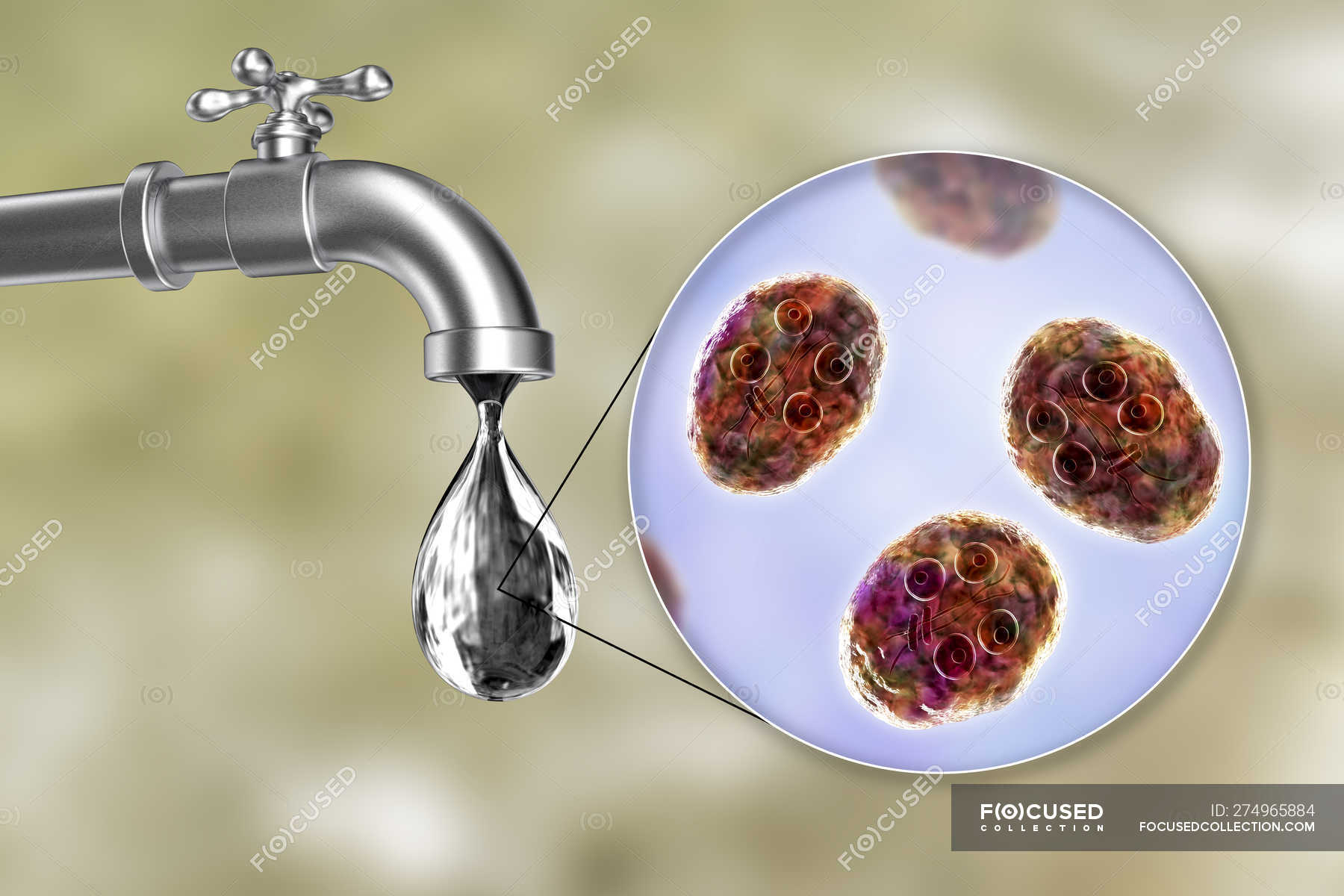 giardia in tap water