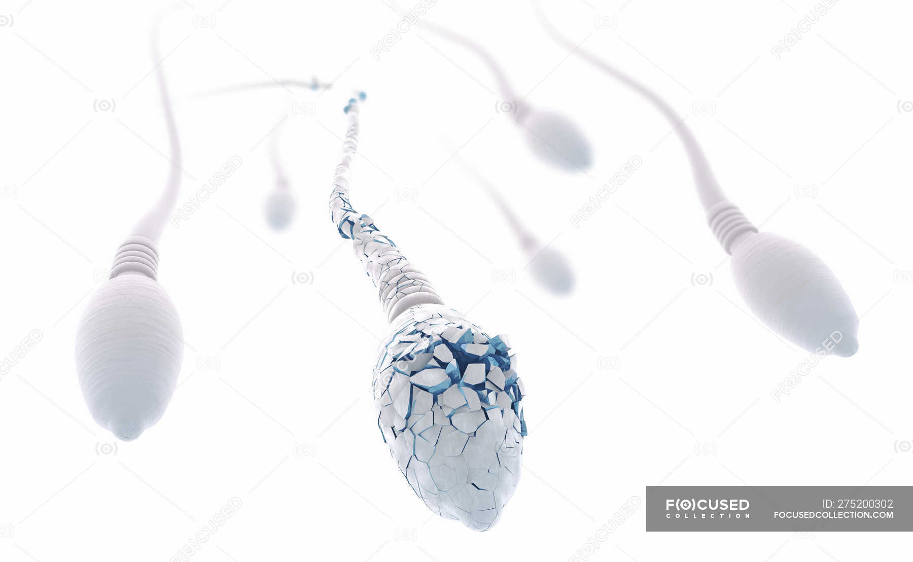 Аузына боқ тиген қызға арналған порно онлайн көру.