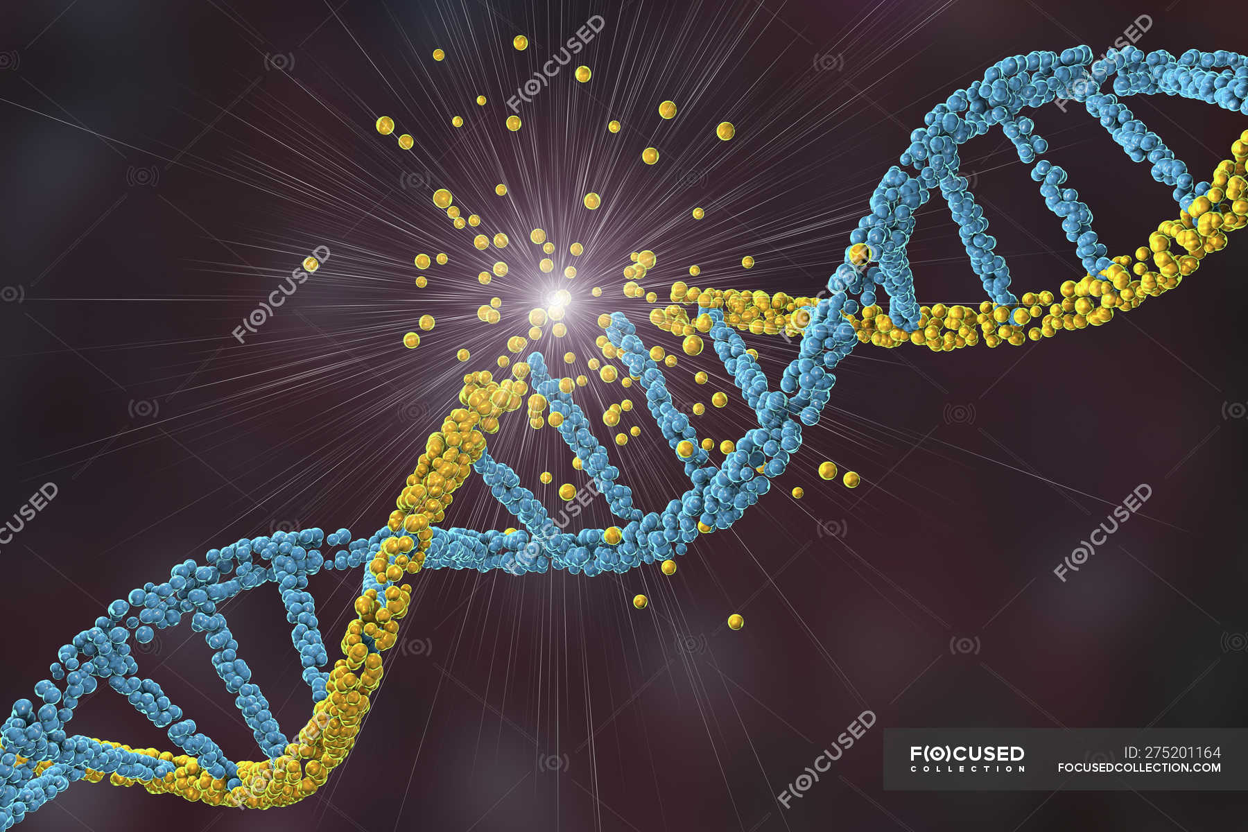 Разрыв цепи днк. Разрушение ДНК. Цепочка ДНК. Радиация и ДНК. Разрушенная ДНК.