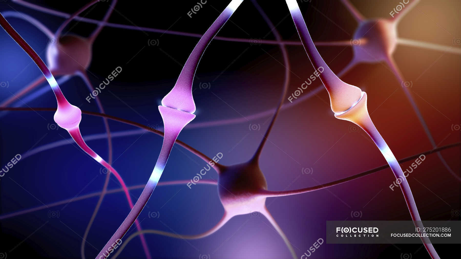 abstract-3d-illustration-of-nerve-cells-with-connections-in-human