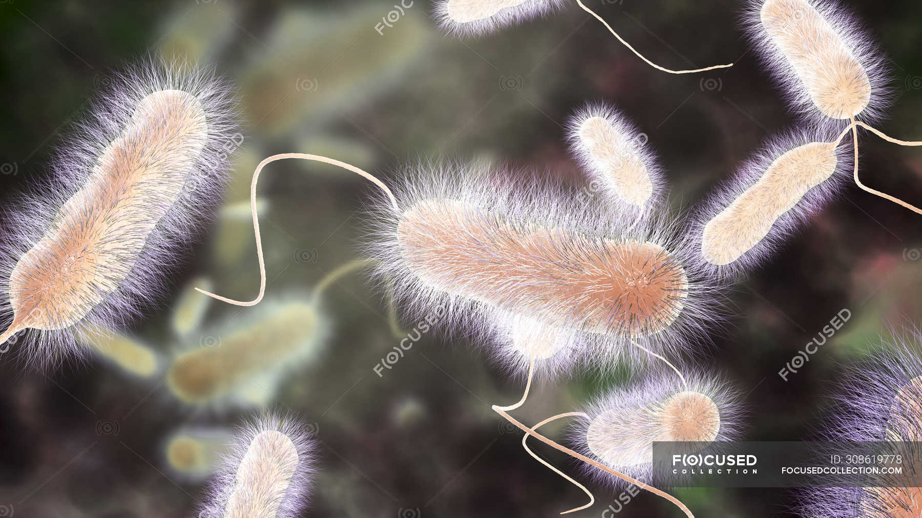 Digital illustration of Legionella pneumophila bacteria, cause of Legionnaires disease. — 3d