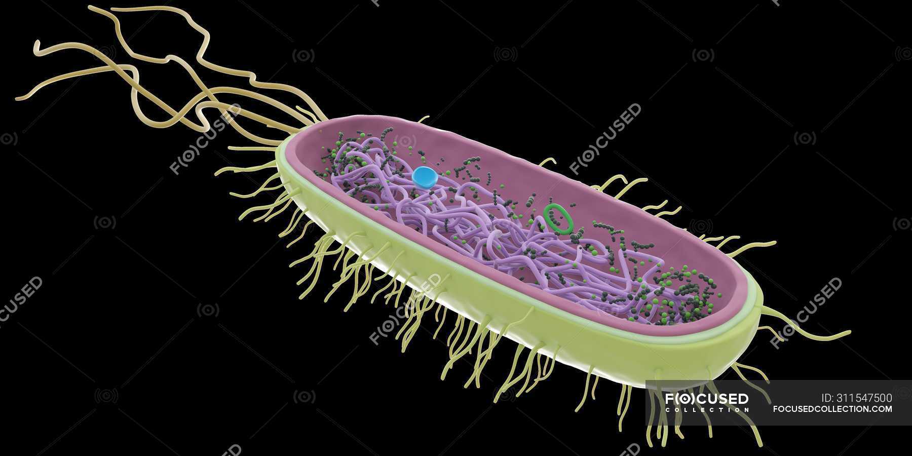 Single abstract bacterium on black background, computer illustration ...