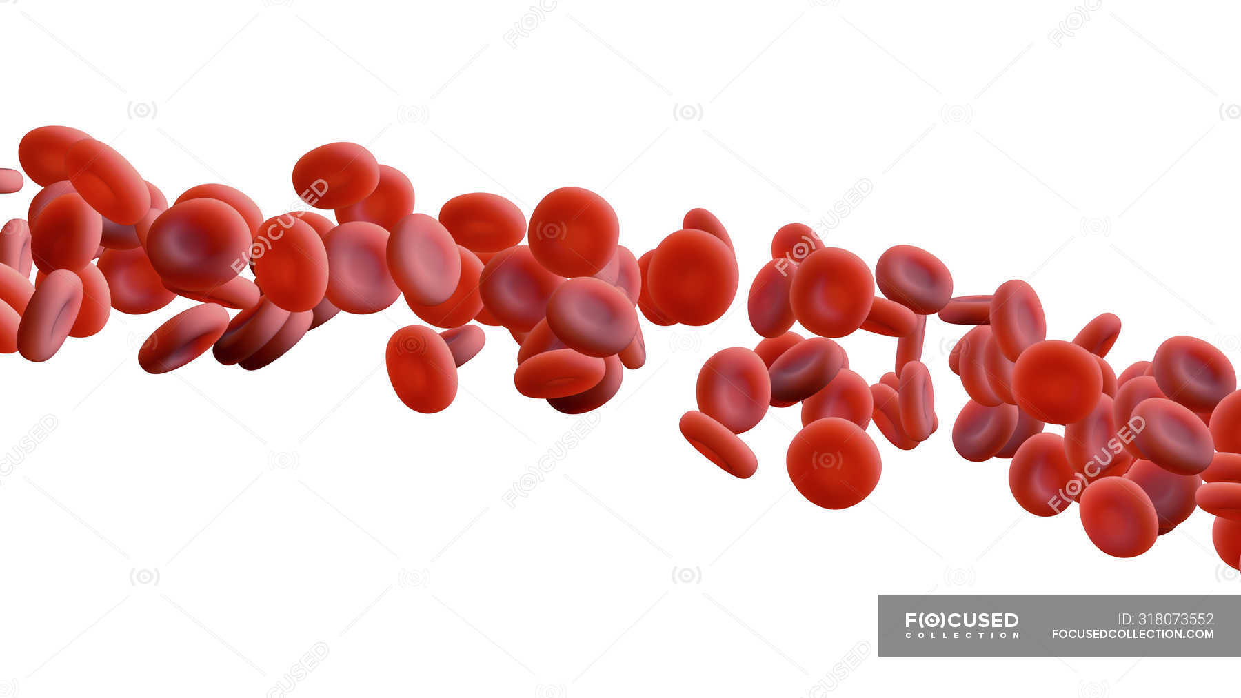 Red blood cells on white background, digital illustration. — erythrocytes,  three dimensional - Stock Photo | #318073552