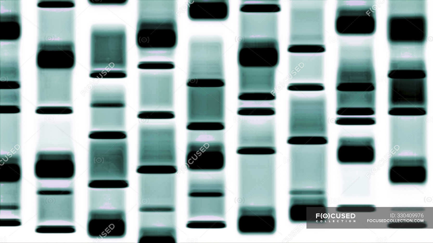 Autoradiography Stock Photos, Royalty Free Images Focused