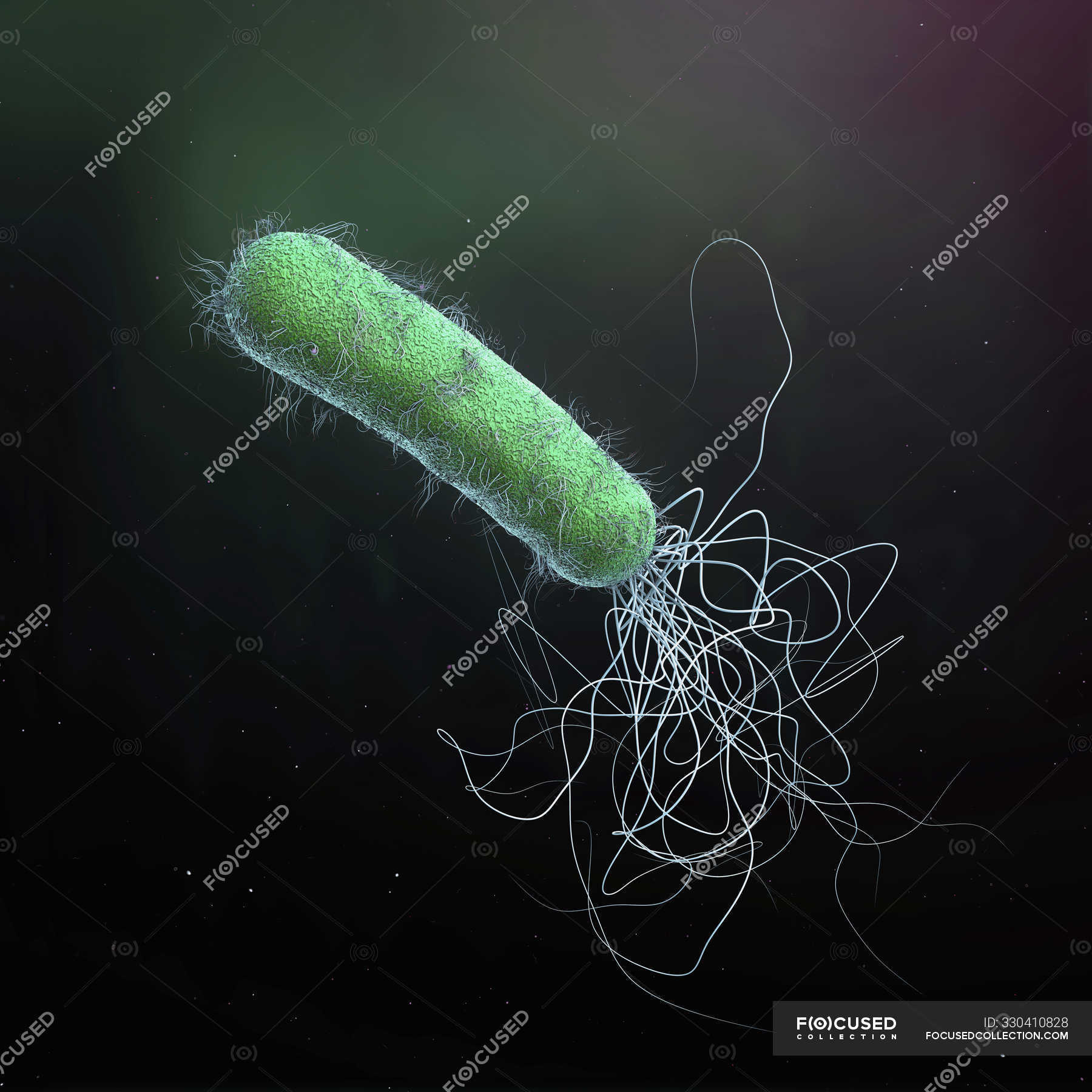 Antibiótico resistente Pseudomonas aeruginosa bacterium ilustração D digital Medicina