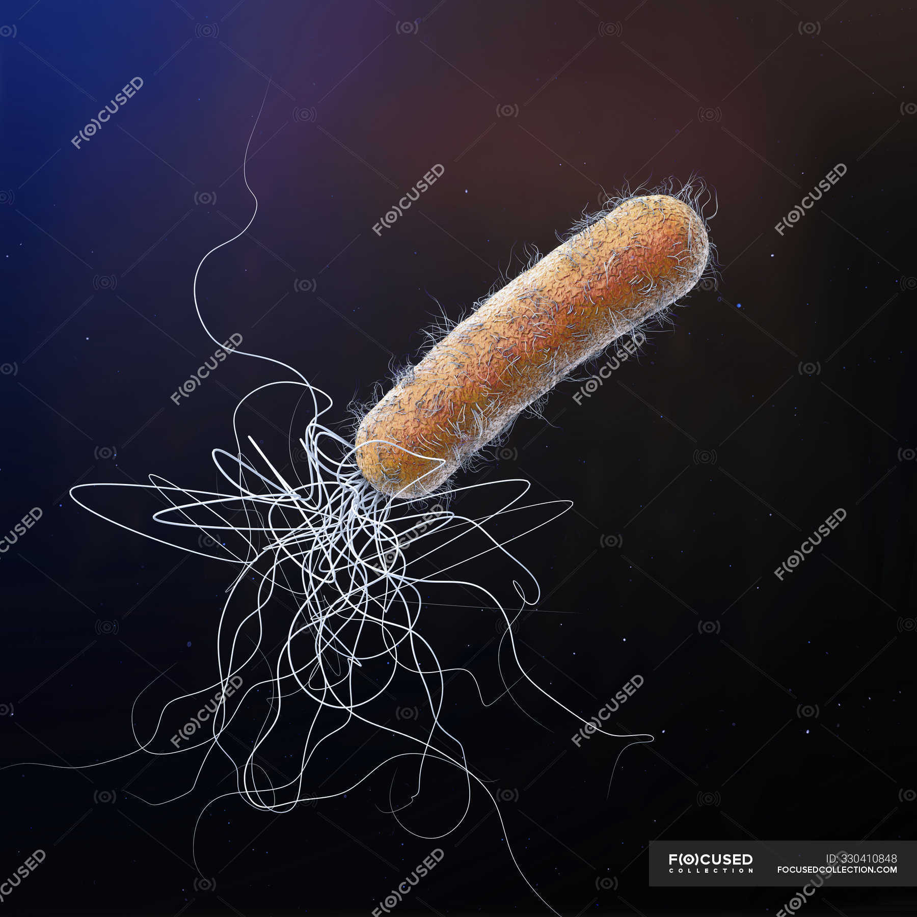 Resistente A Los Antibi Ticos Pseudomonas Aeruginosa Bacteriana Ilustraci N Digital D