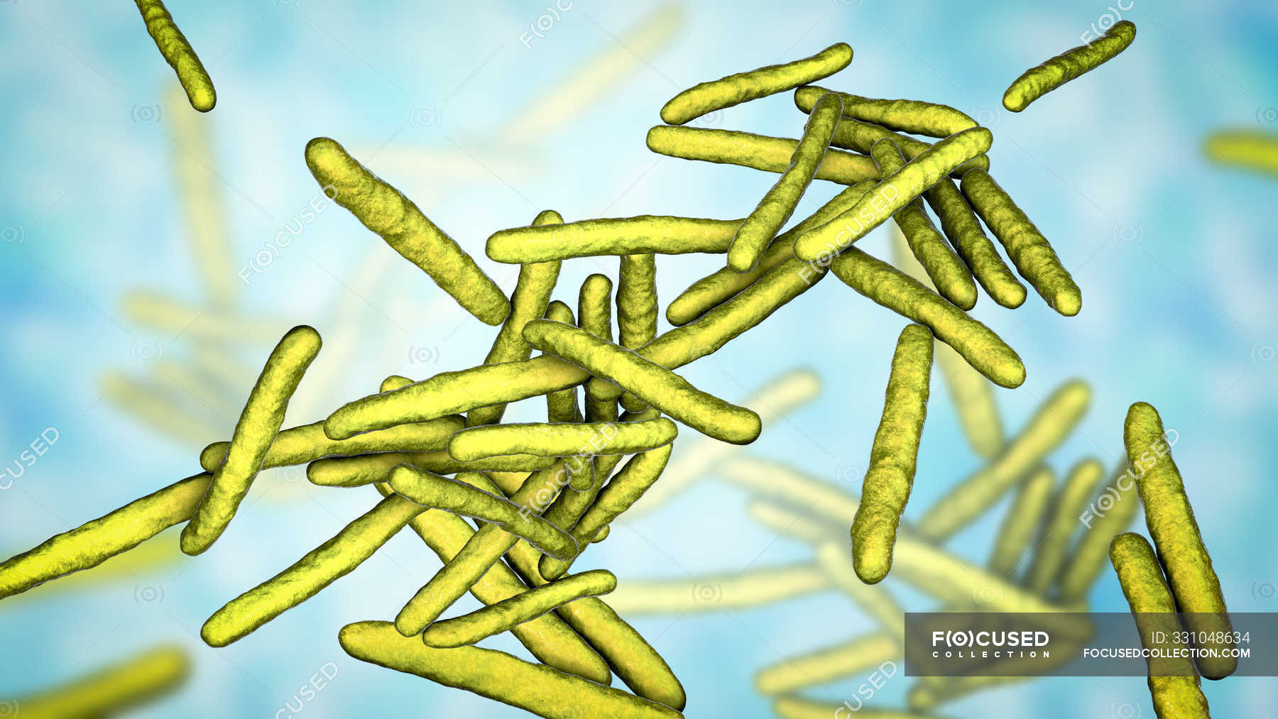 Digital illustration of Mycobacterium leprae grampositive rodshaped