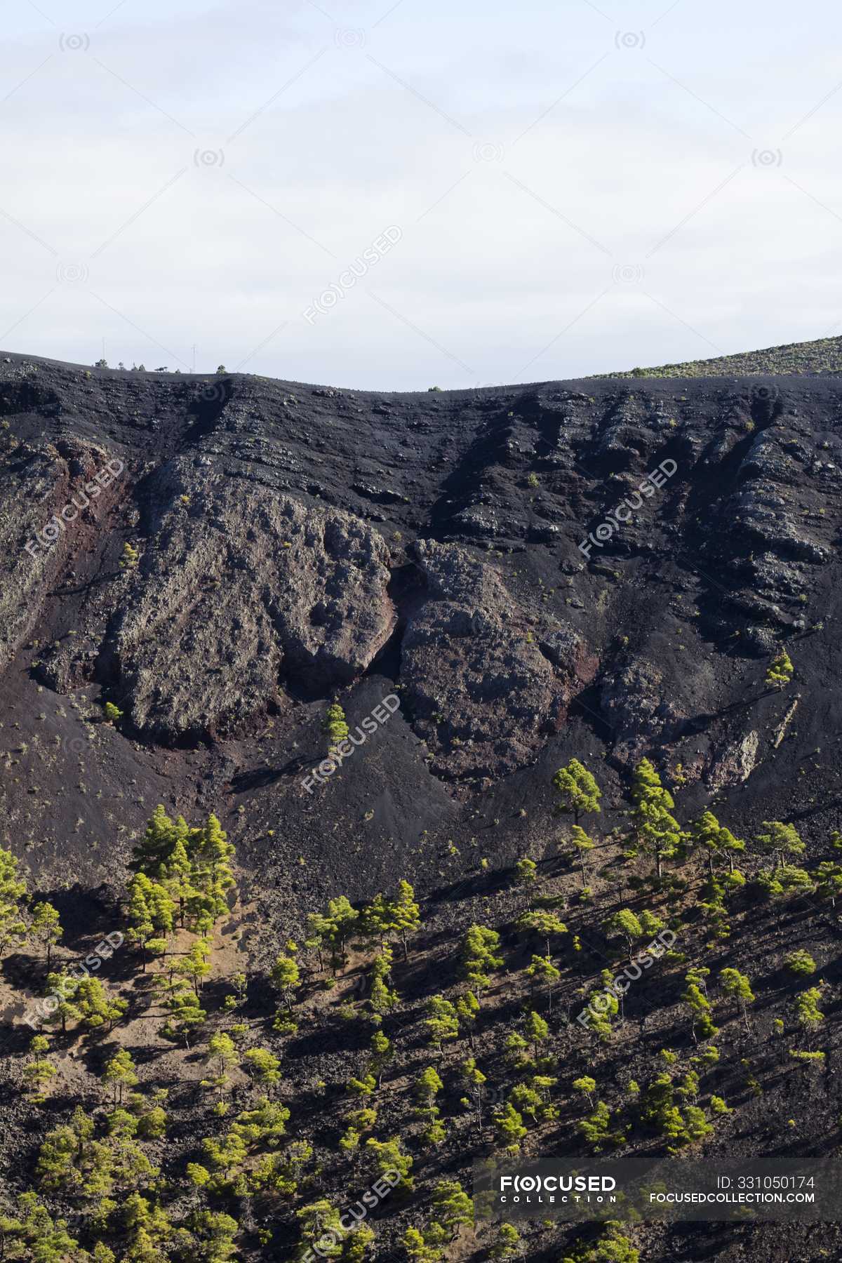 Canarian Craftsmanship: A Volcanic Explosion Of Talent! - d2j095t