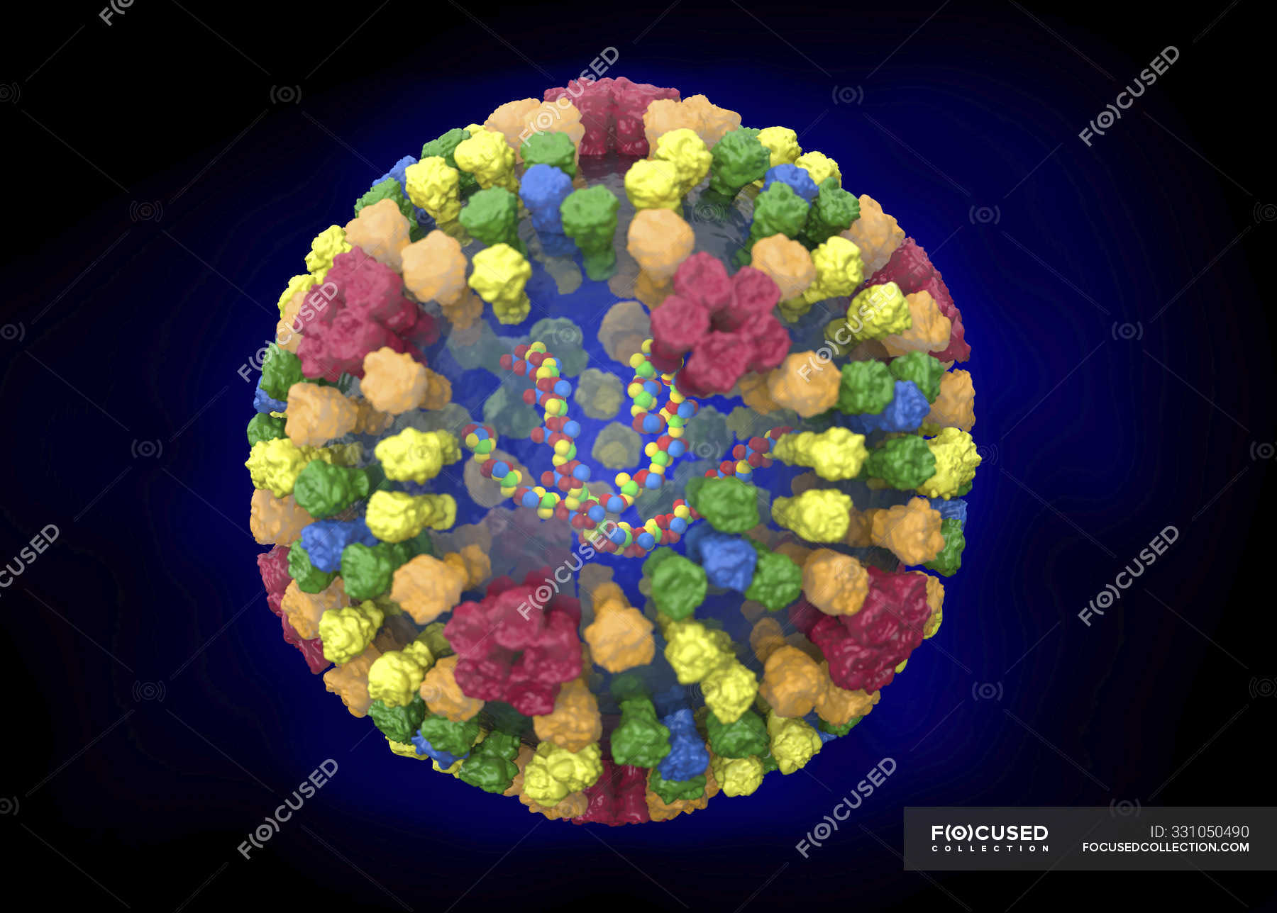 Bluetongue Virus Structure Digital Illustration — Particle Insect