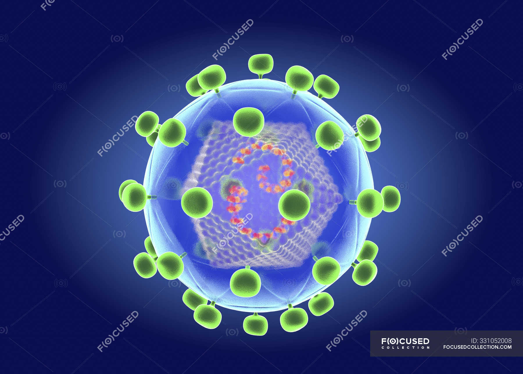 Digital Illustration Of Hiv Retrovirus Of Lentivirus Kind Causing Of