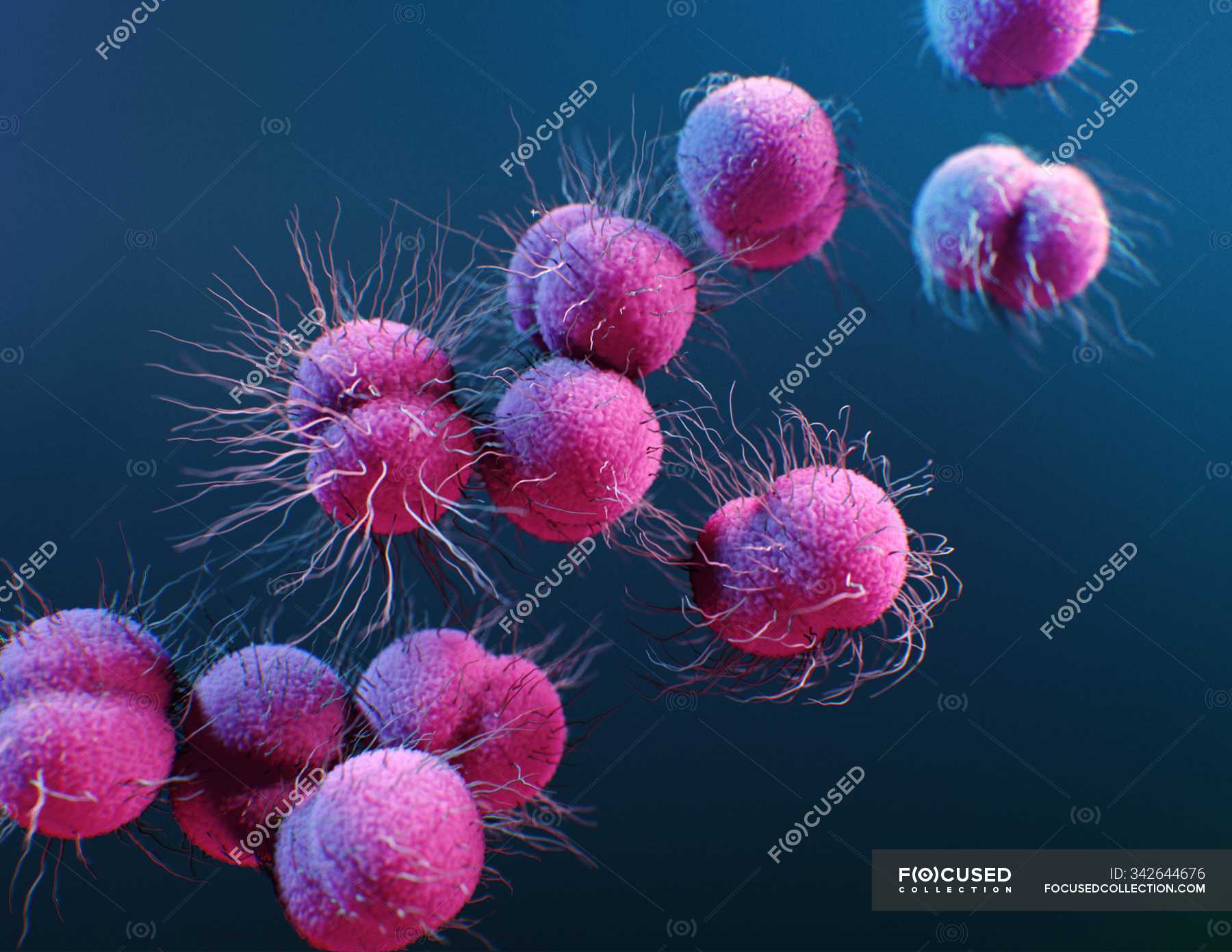 Digital 3d Illustration Of Neisseria Gonorrhoeae Bacteria — Resistant Antibiotic Resistant