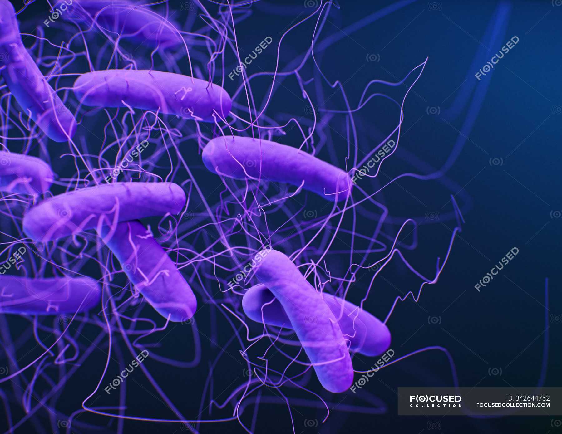 digital-3d-illustration-of-rod-shaped-bacteria-clostridioides-difficile