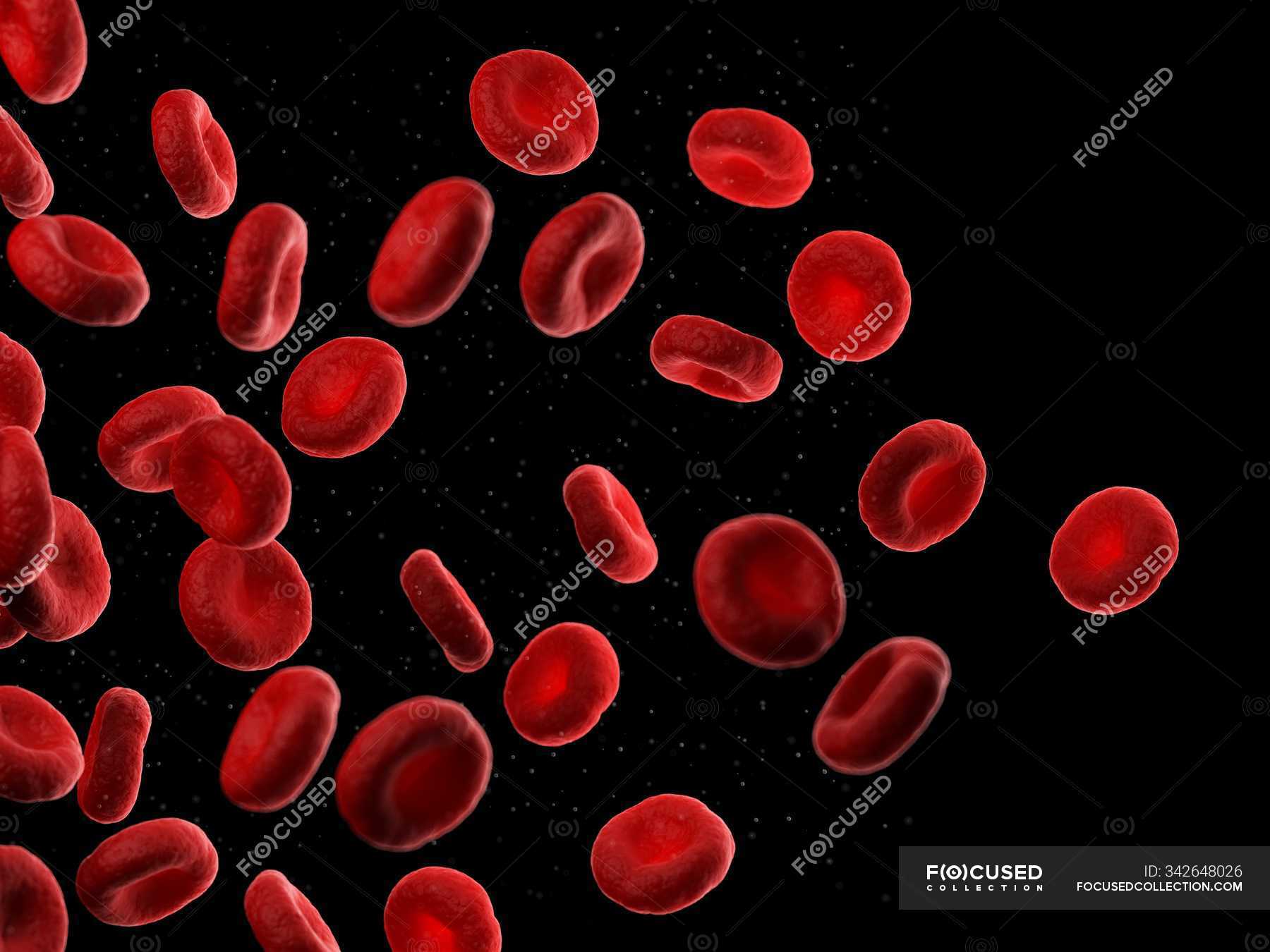 Red blood cells on black background, computer illustration. — erythrocytes,  human blood - Stock Photo | #342648026