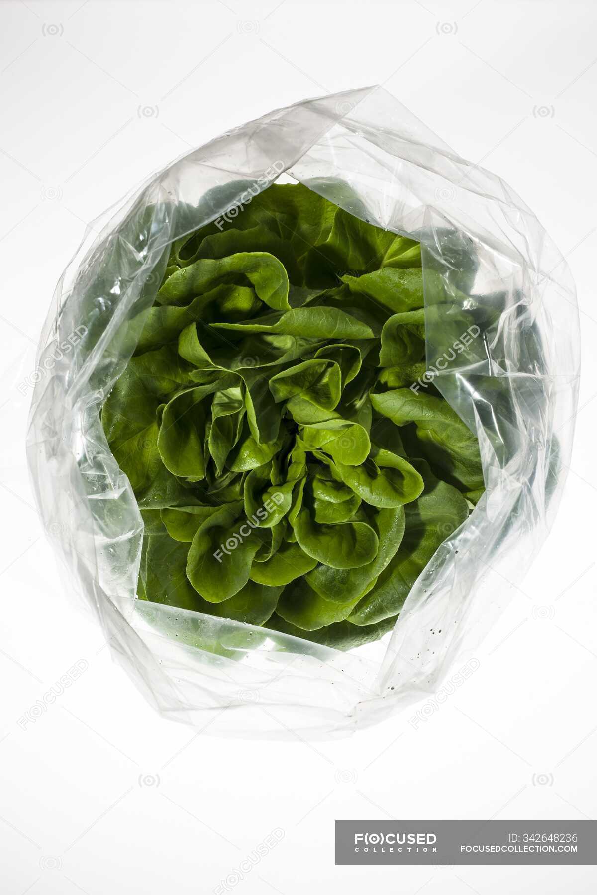 Fresh head of lettuce in plastic bag on white background. — vegetarian, Studio Shot Stock