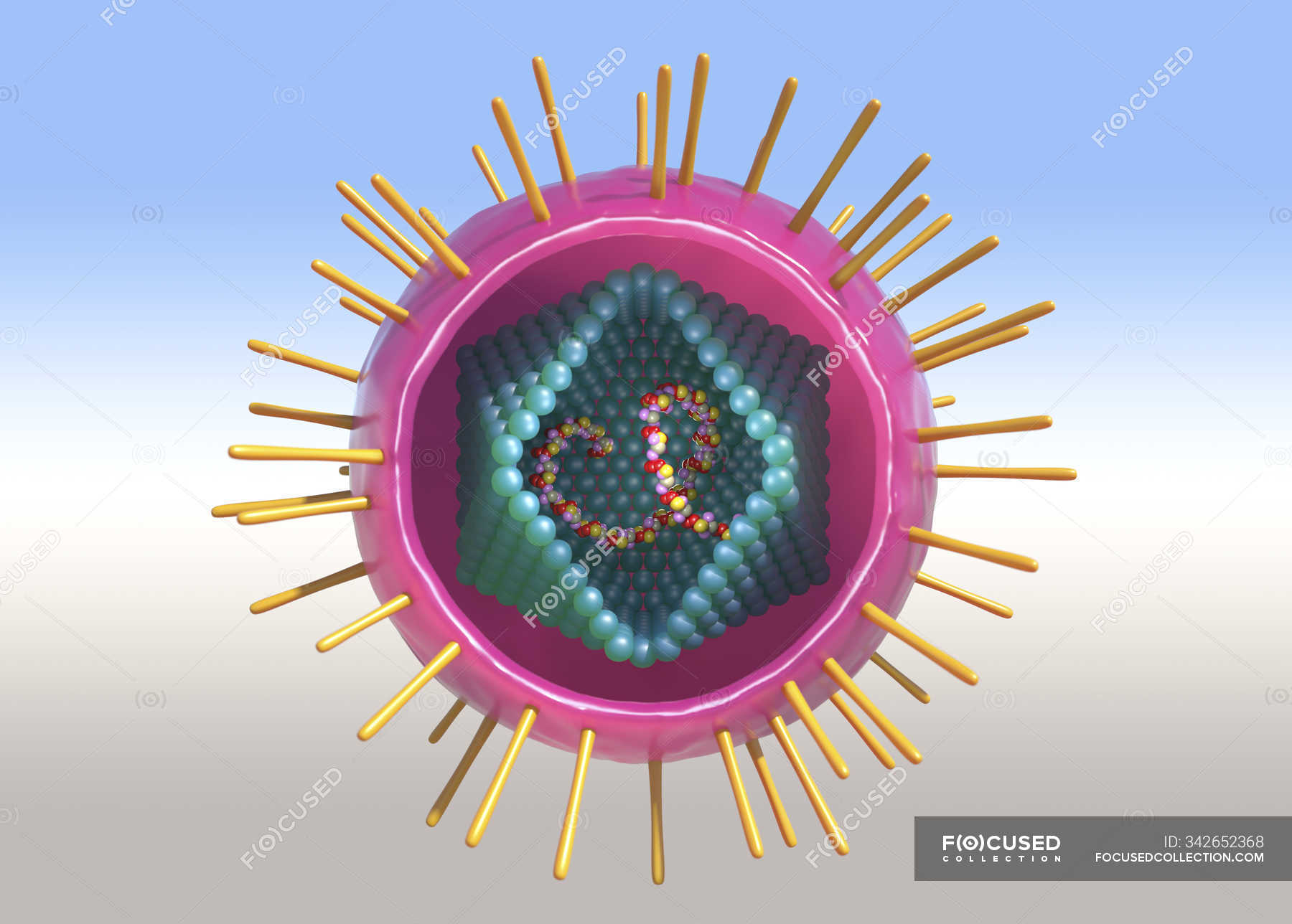 Human T-cell Lymphotropic Virus Particle, Digital Conceptual ...