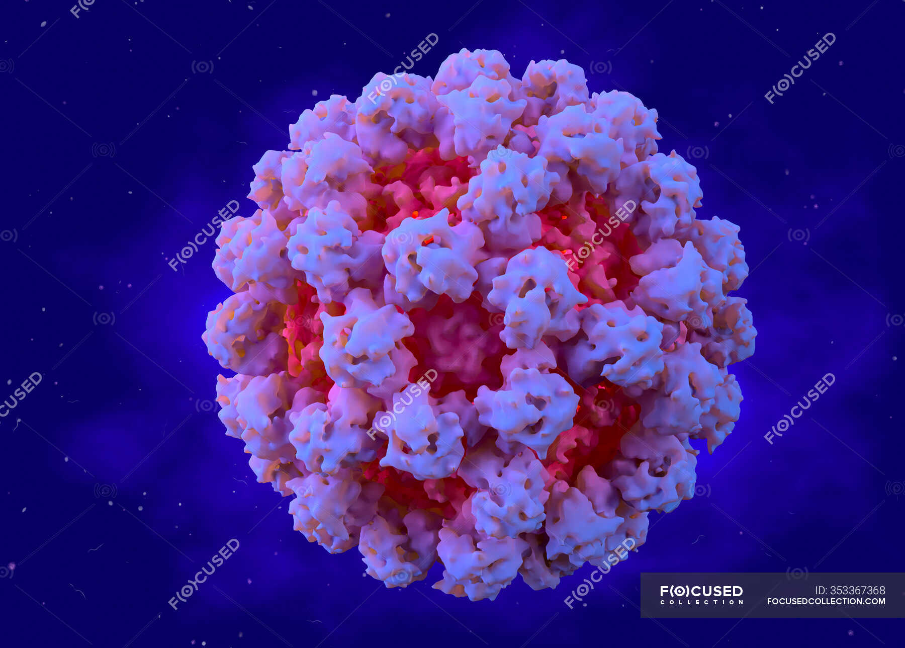 norovirus-illustration-norovirus-or-winter-vomiting-bug-is-a-genus