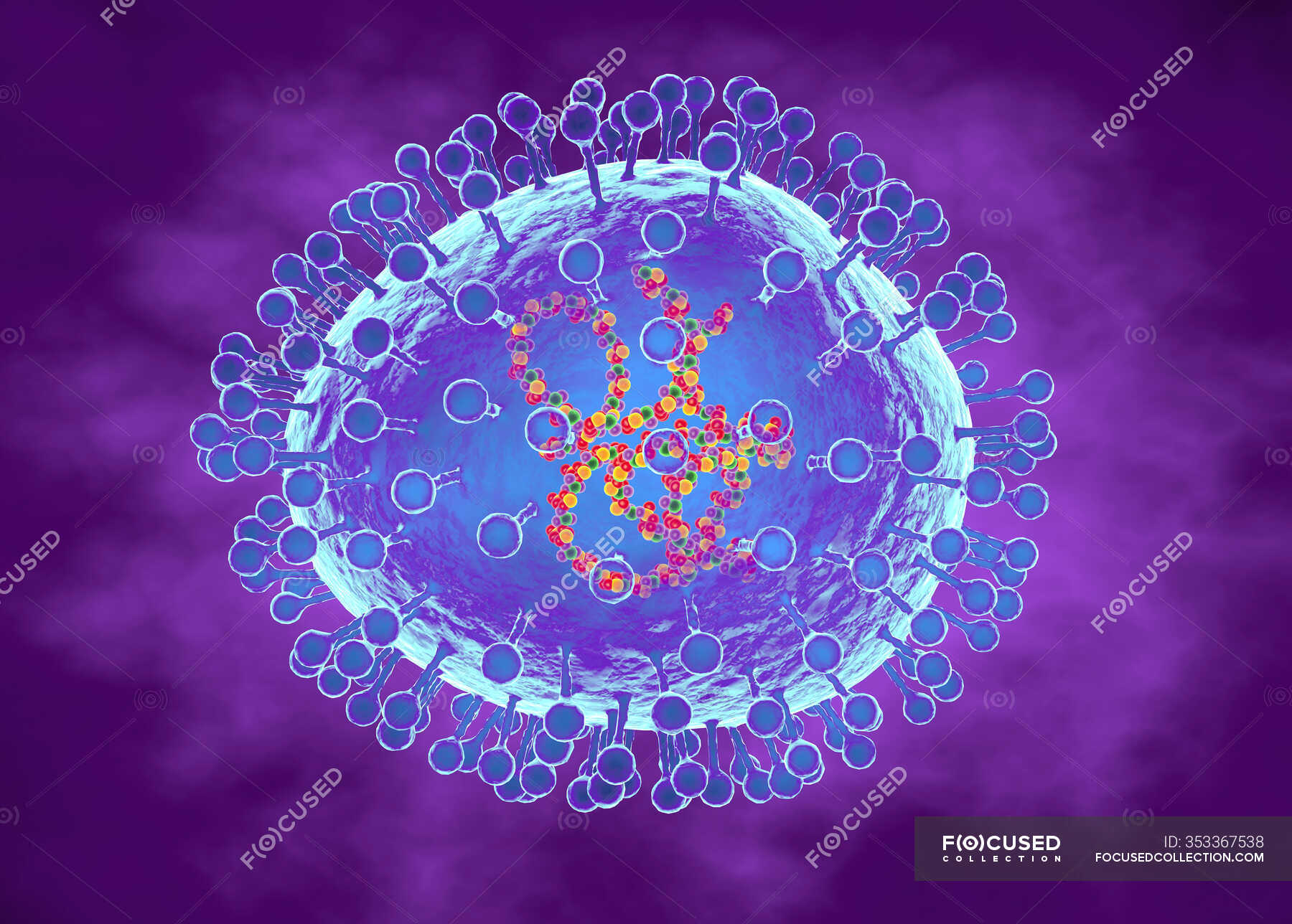 Human Metapneumovirus Particles Computer Illustration Of Particles Of human-metapneumovirus-particles-computer-illustration-of-particles-of