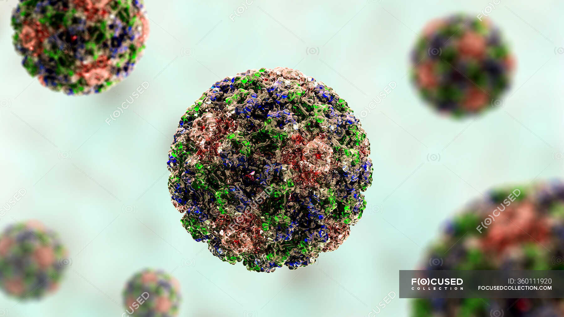 Human papilloma virus (HPV), computer illustration — dna, transmitted ...