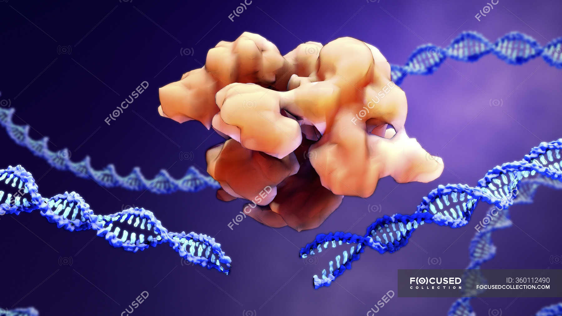 crispr-cas9-gene-editing-complex-and-dna-computer-illustration