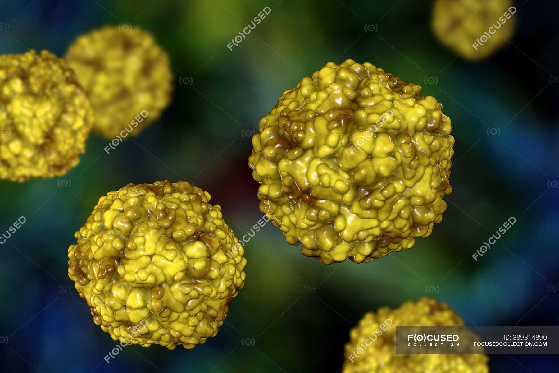 enterovirus-illustration-informatique-l-ent-rovirus-est-un-genre-de