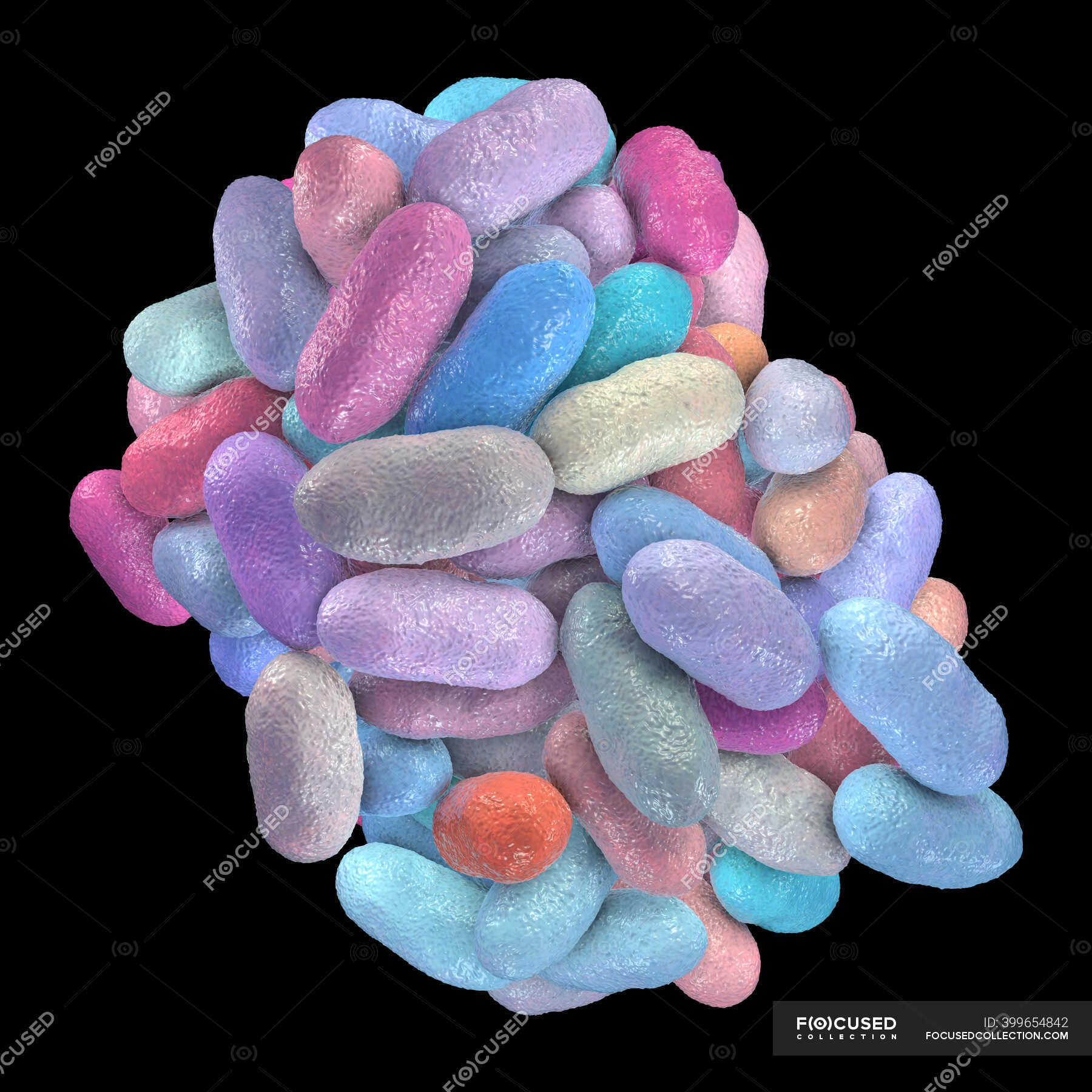 Porphyromonas gingivalis orales Bakterium, Computerillustration. P