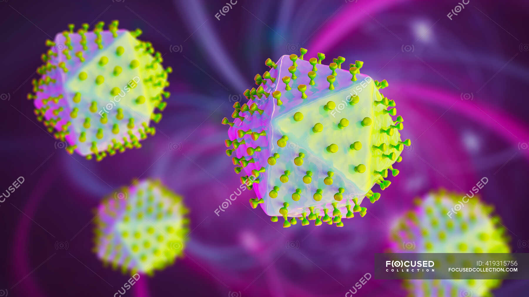 african-swine-fever-virus-illustration-this-virus-is-member-of