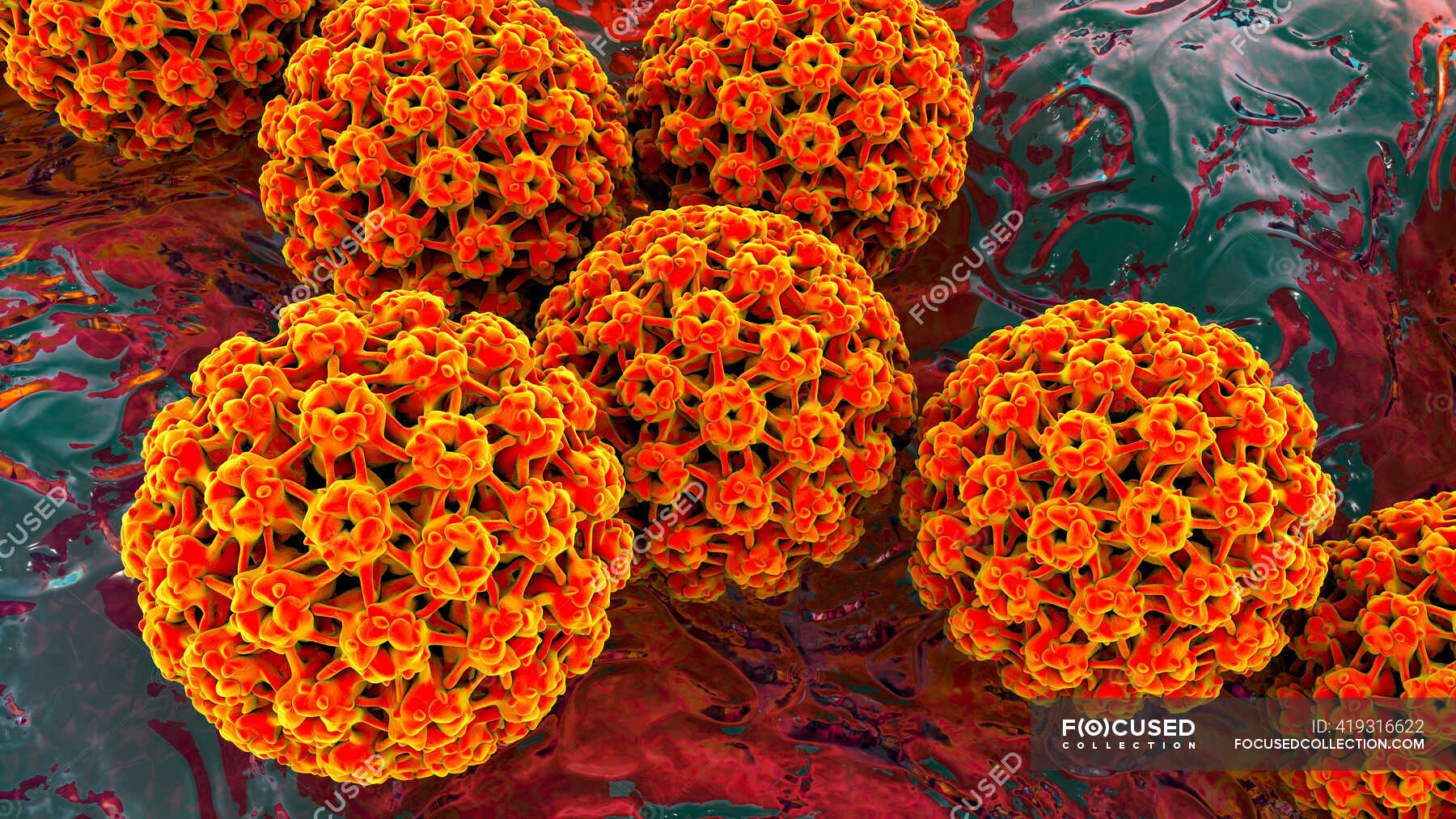 human-papilloma-virus-hpv-computer-illustration-hpv-causes-warts