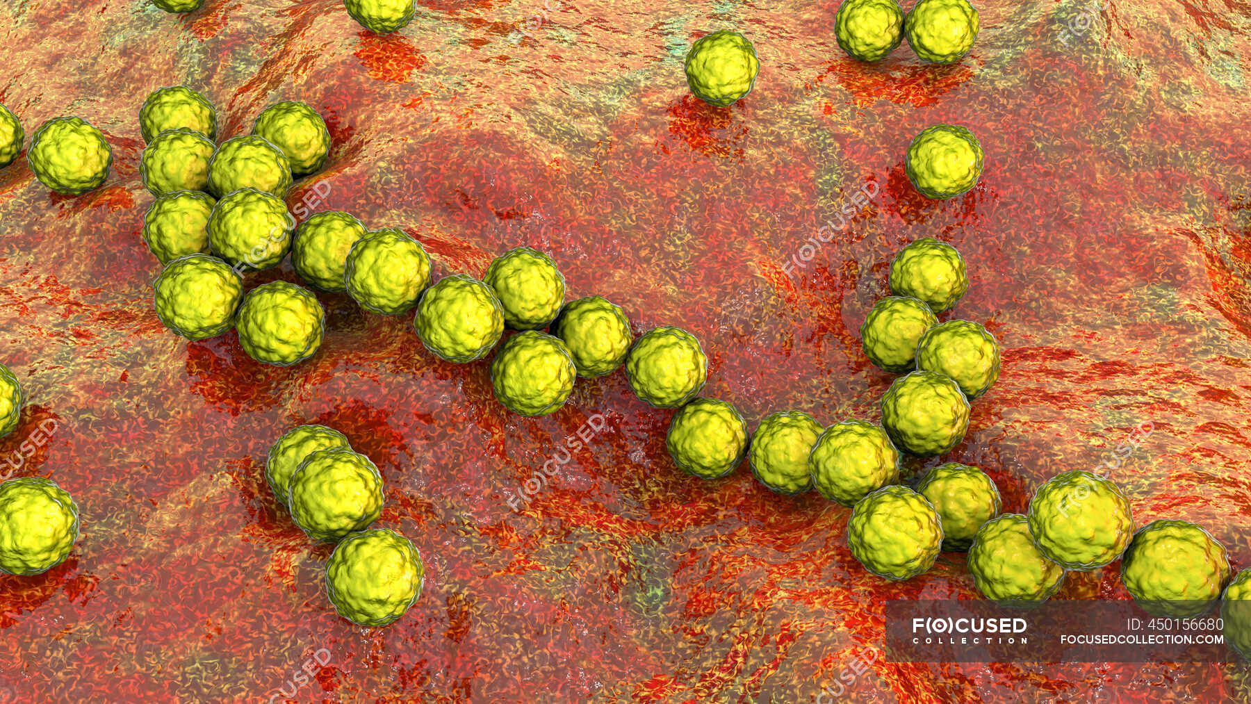 bact-ries-streptococcus-pyogenes-illustration-3d-par-ordinateur-de-la