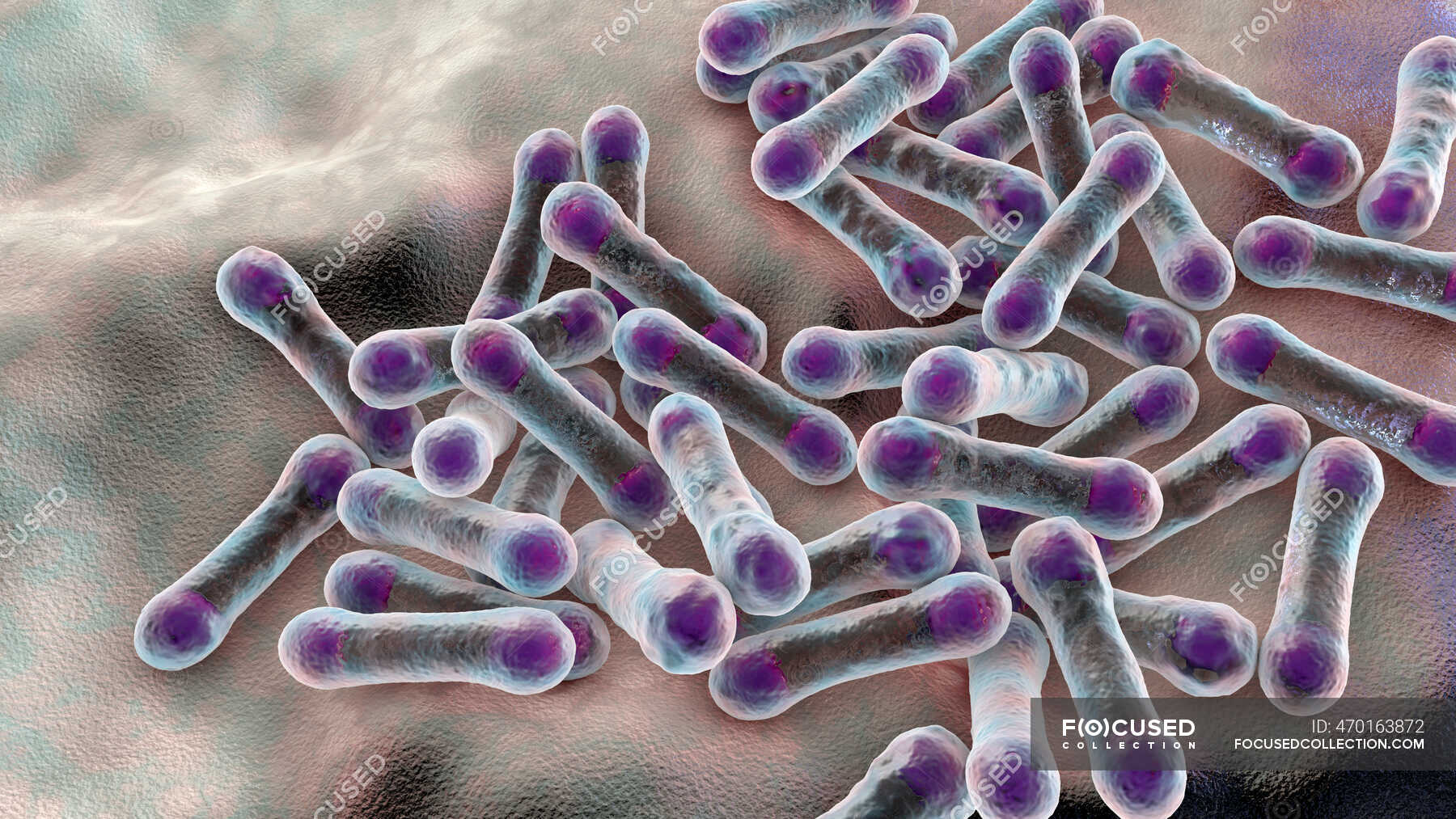 Corynebacterium Diphtheriae Computer Illustration C Diphtheriae Is A Gram Positive Rod Shaped