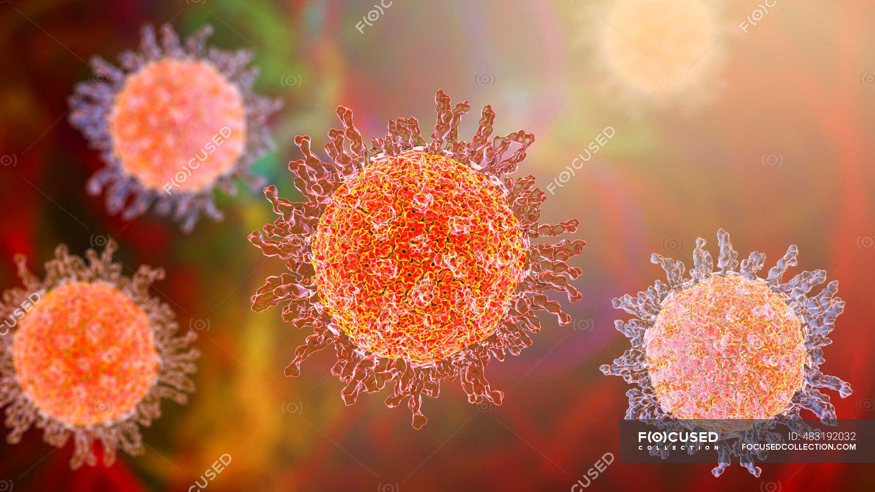 herpes-simplex-virus-computer-illustration-mikrobiologische-hsv1