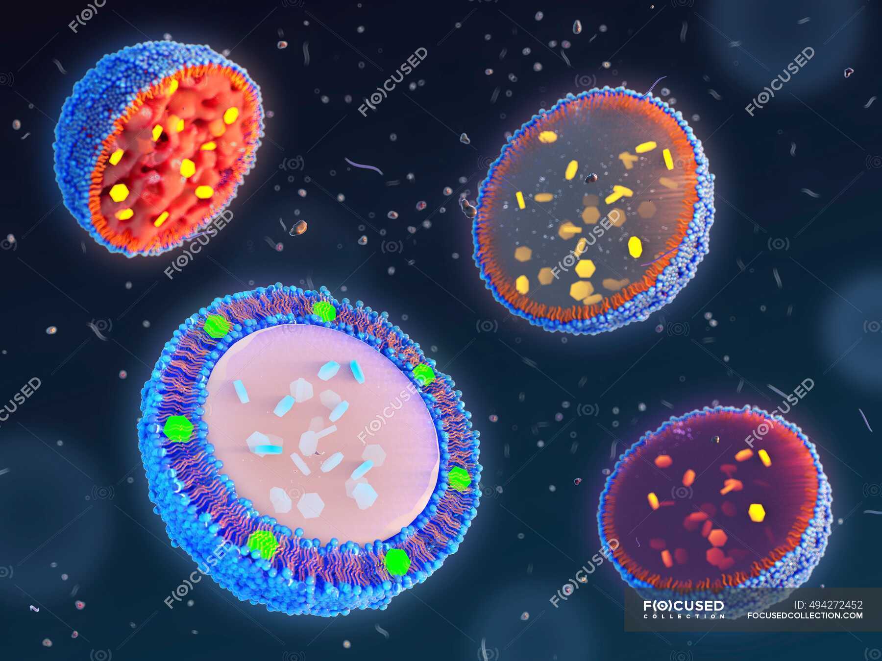 Illustration mit verschiedenen Arten von Lipidbasierten Nanopartikeln