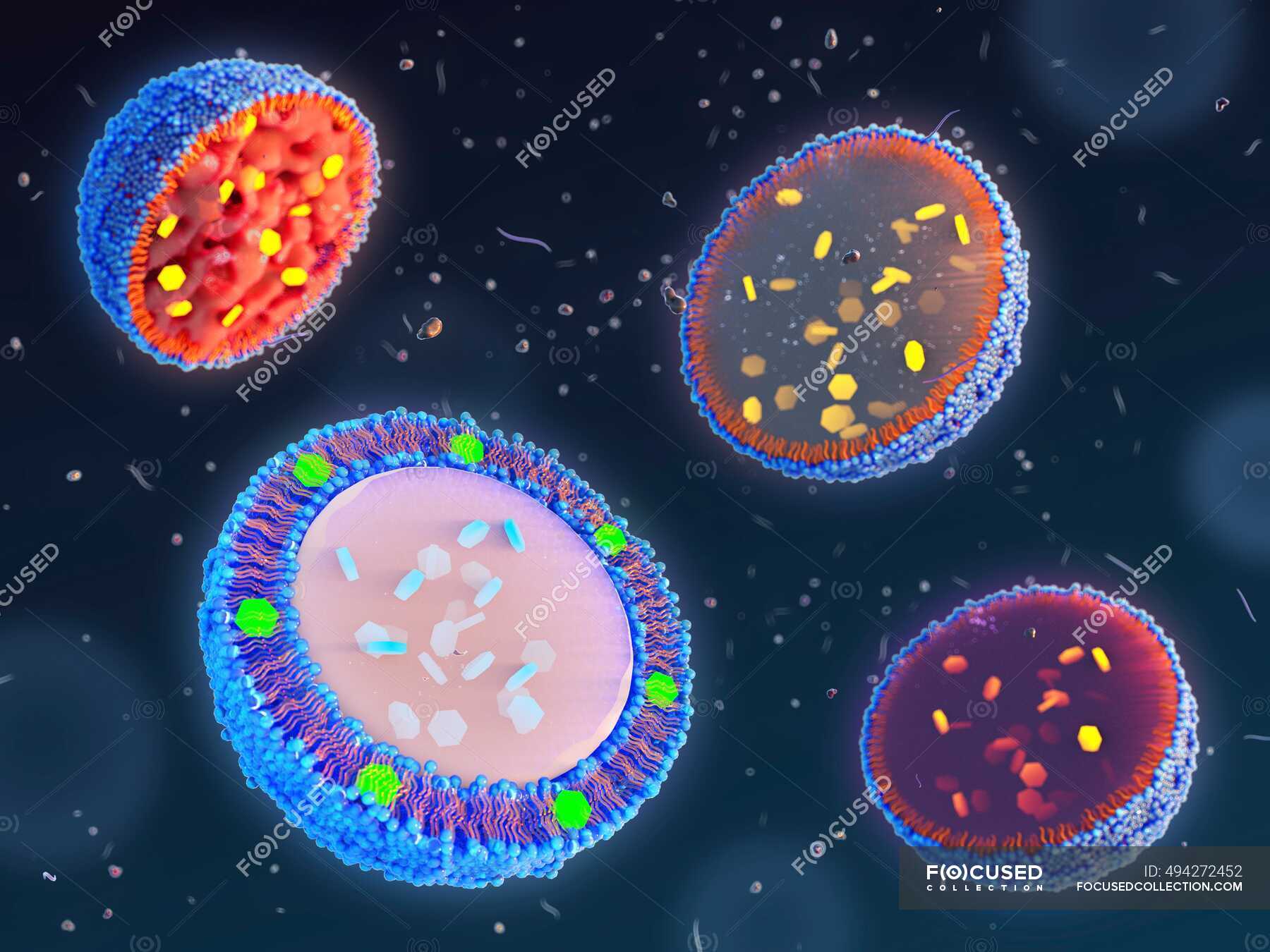 Illustration Mit Verschiedenen Arten Von Lipid basierten Nanopartikeln 