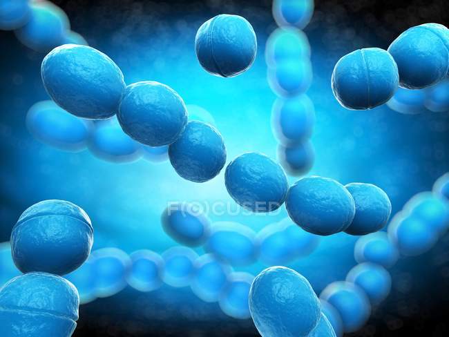 Estrutura bacteriana do Streptococcus — Fotografia de Stock