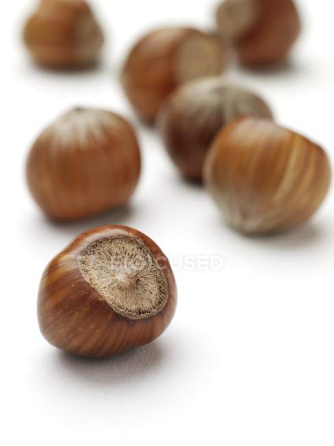 Close-up view of hazelnuts on white background. — Stock Photo